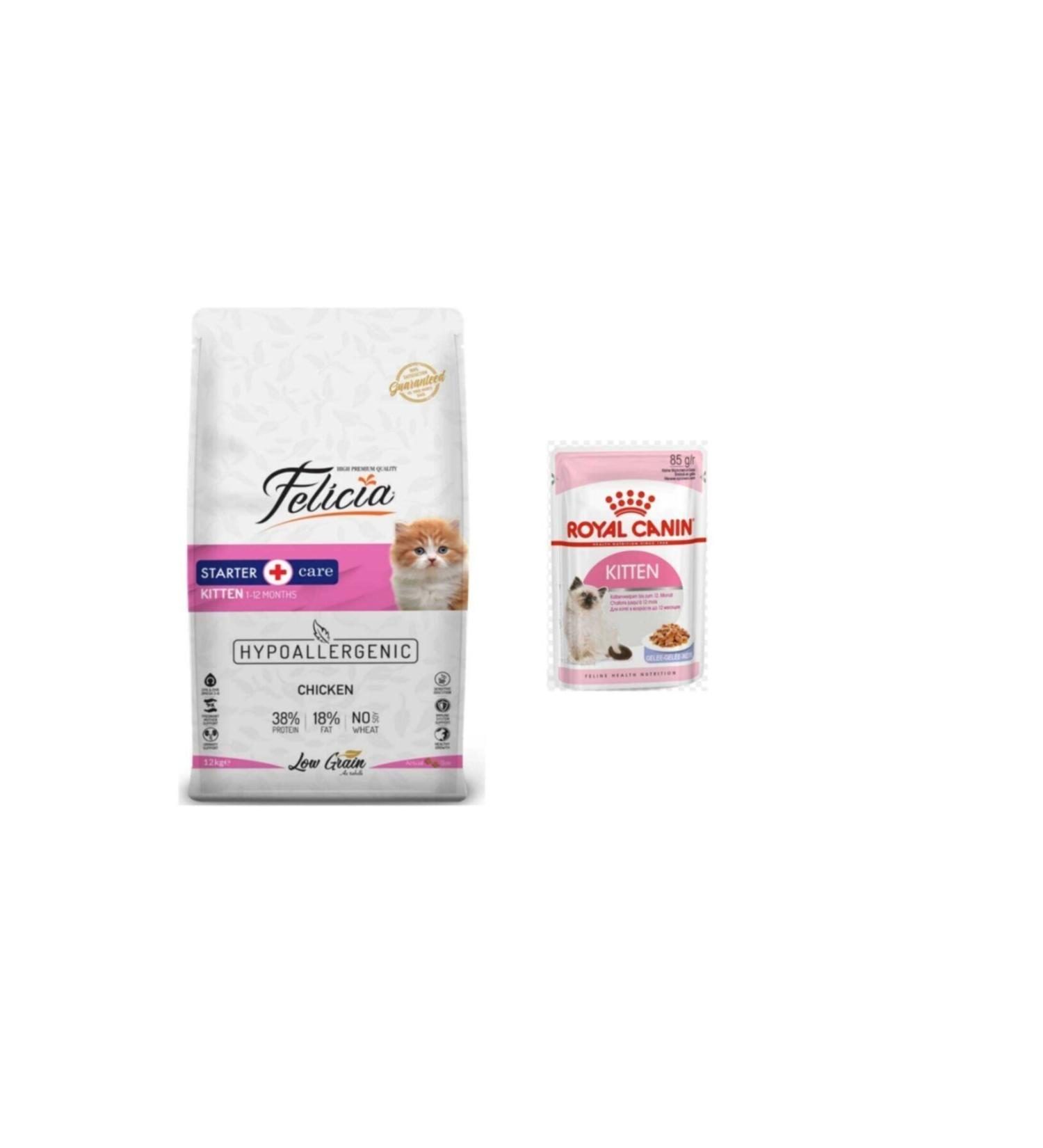 Felicia Felicia Kitten Chicken Kitten Cat Food 12kg + Royal Canin Kitten Pouch Wet Food 85 gr