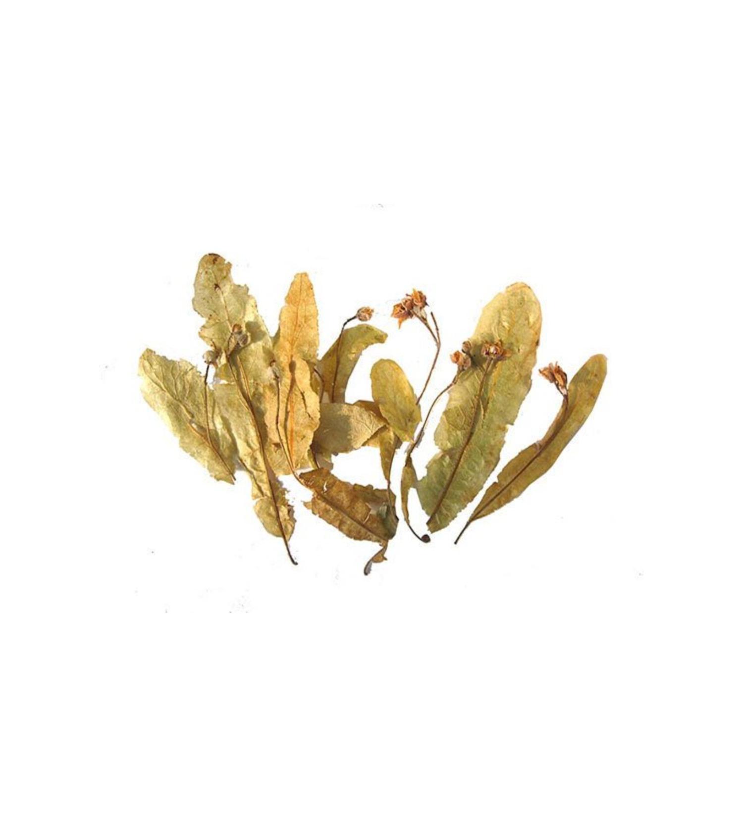 Gupguru Dried Linden Leaves 1 Kg