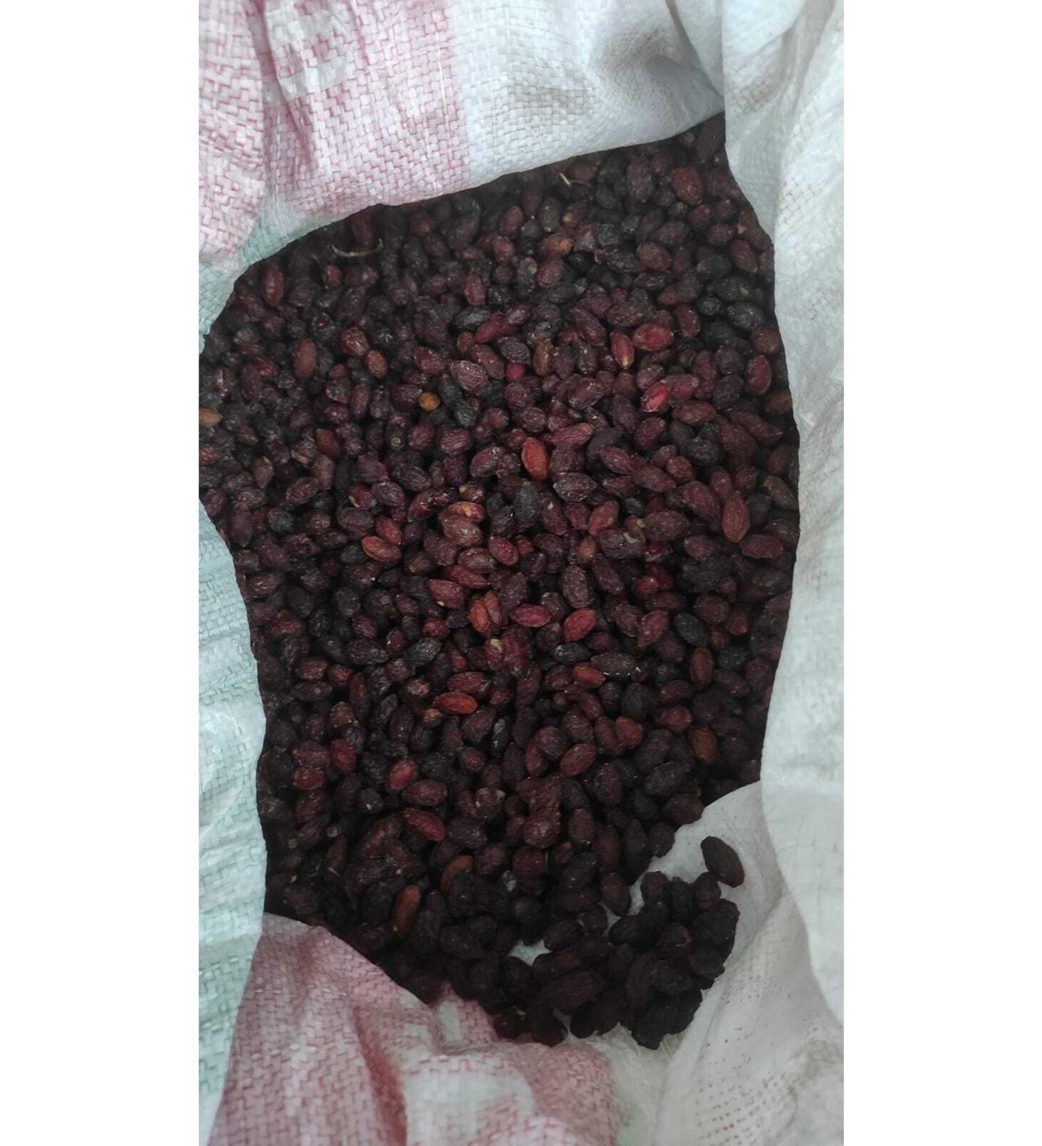 Ambar Dried Nuts Dried Cranberry Dried Cranberry from Artvin (KIREN) 1 Kg - Buy Online on GoSupps.com