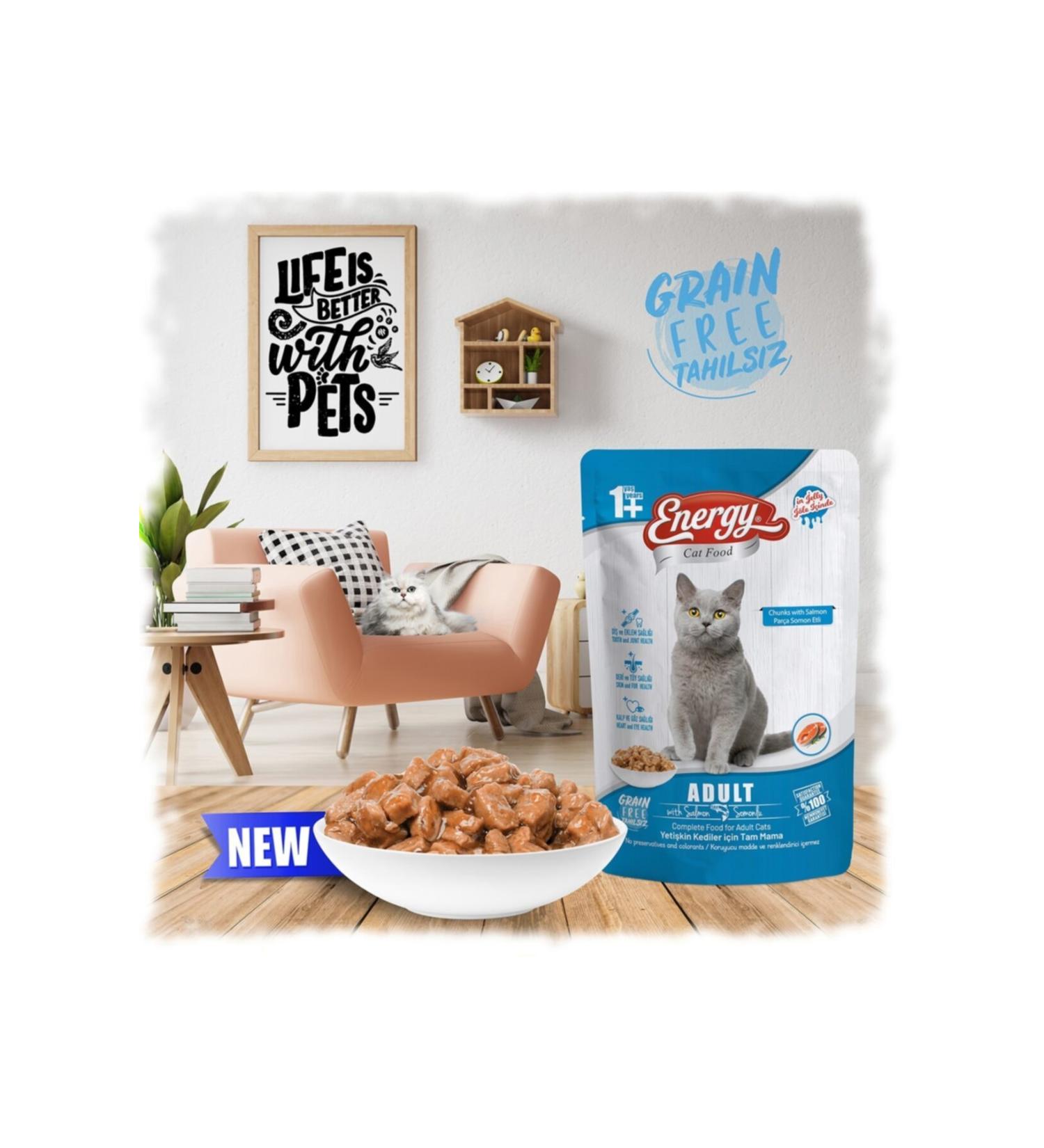 Energy Adult Salmon Wet Food 85 Gr 24 Cat Food 24pcstx85gr