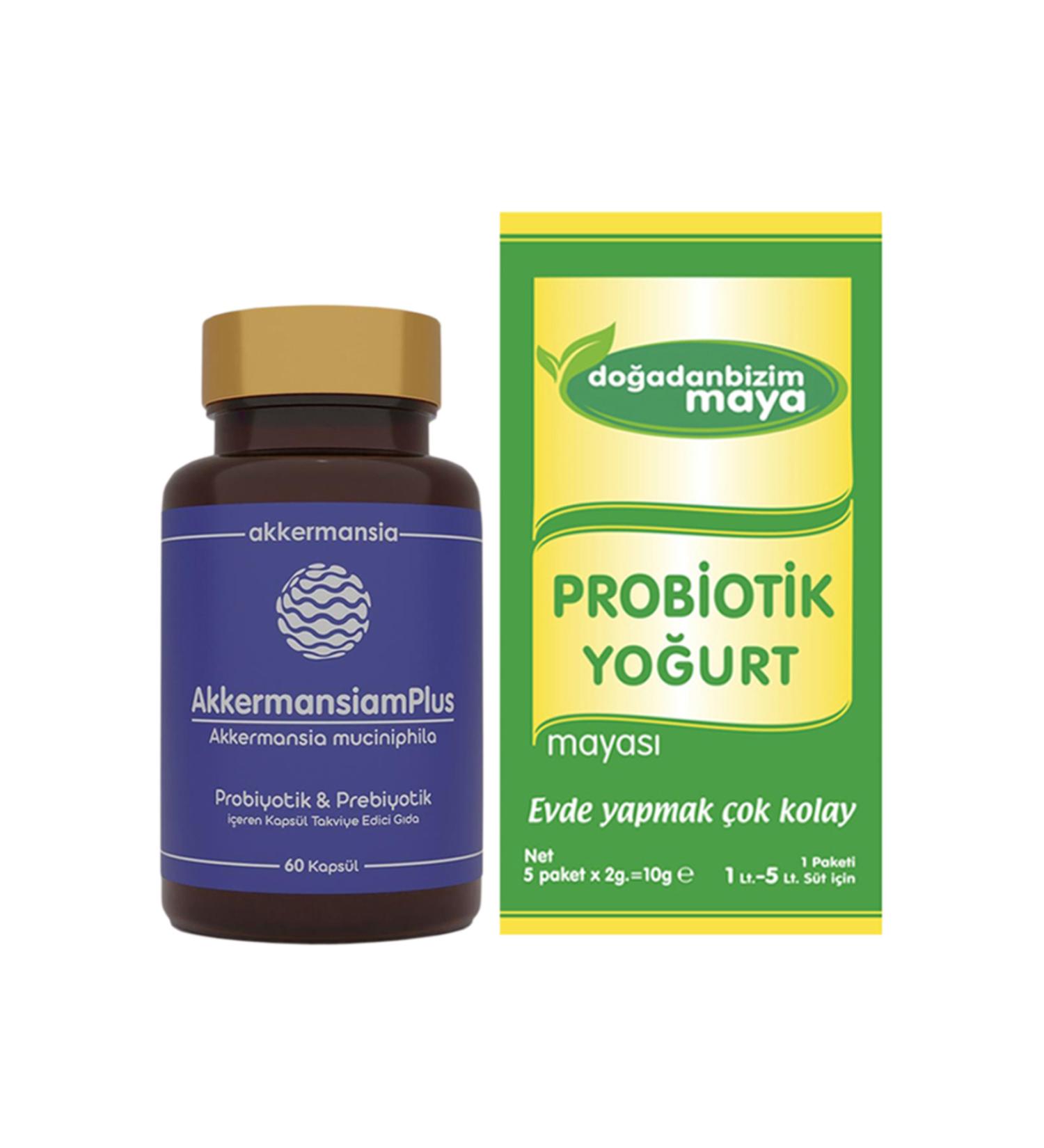 AkkermansiamPlus 60 Capsules + Our Probiotic Yogurt Starter from Nature