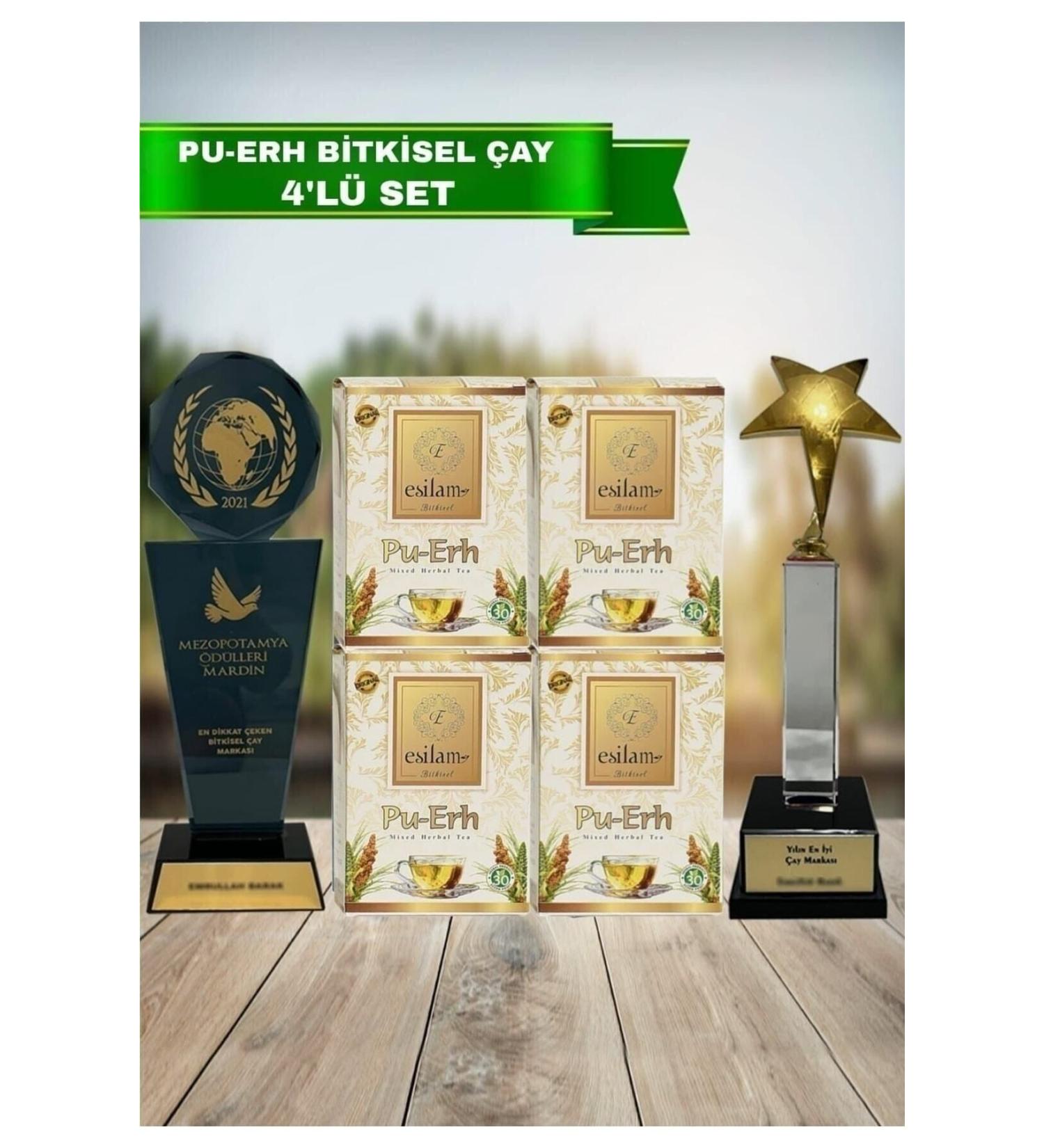 ES LAM Pu-erh Form Tea Slimming4 Supportive Set of 4 - Buy Online on GoSupps.com