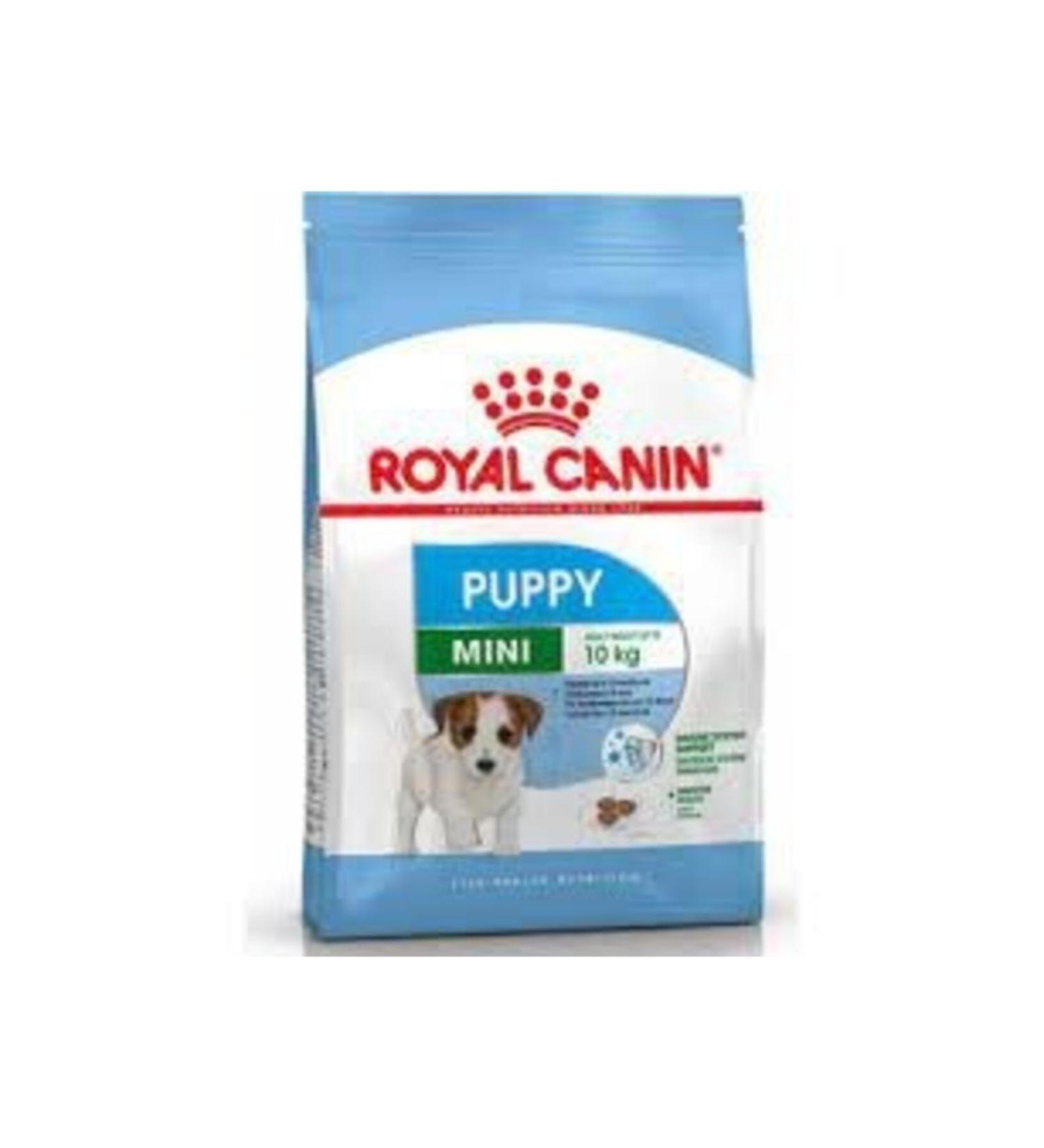 Royall Royal Canin Mini Small Breed Adult Dog Food 2kg