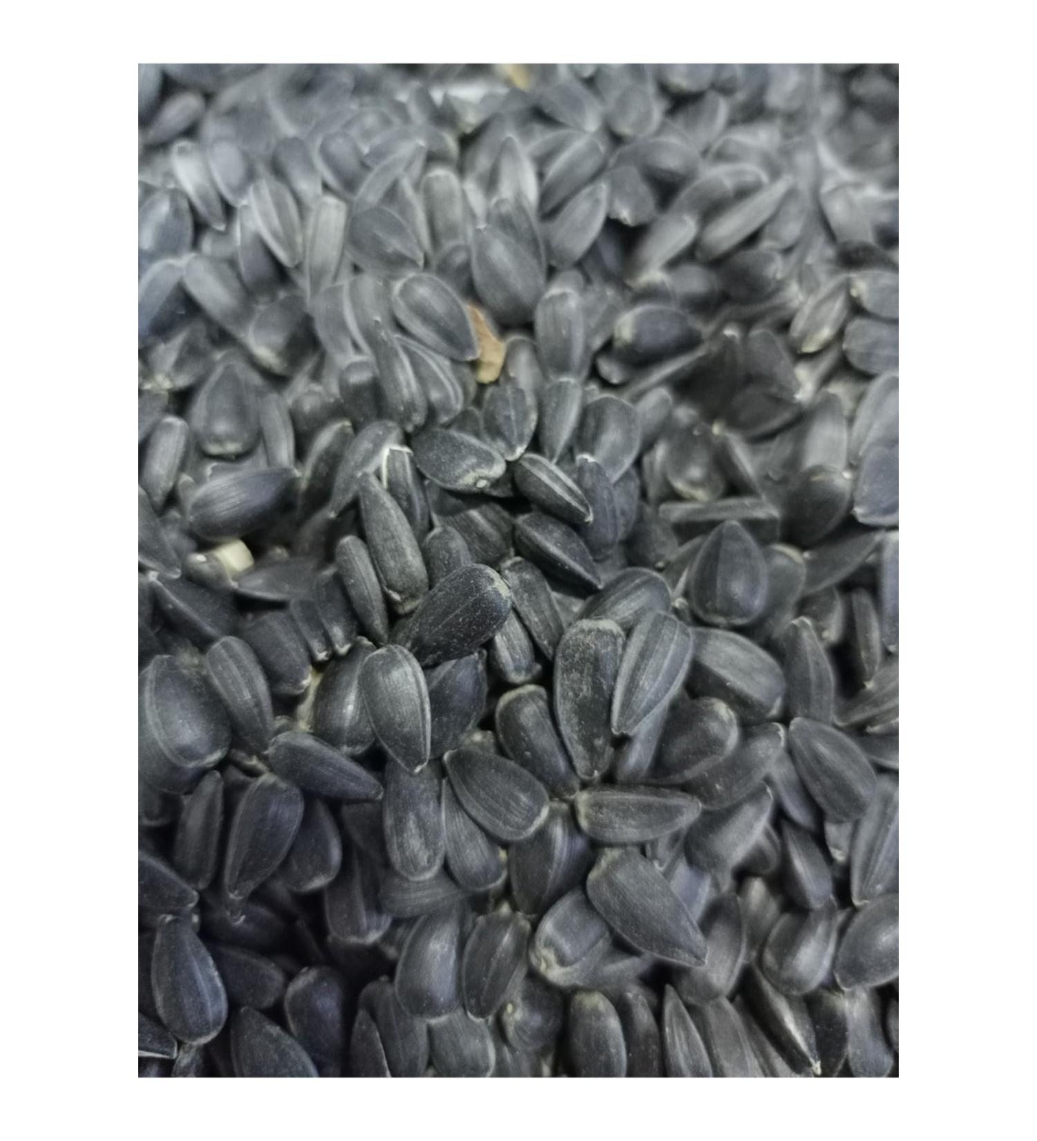 zdemir Petshop Parrot Seed 2.5 Kg