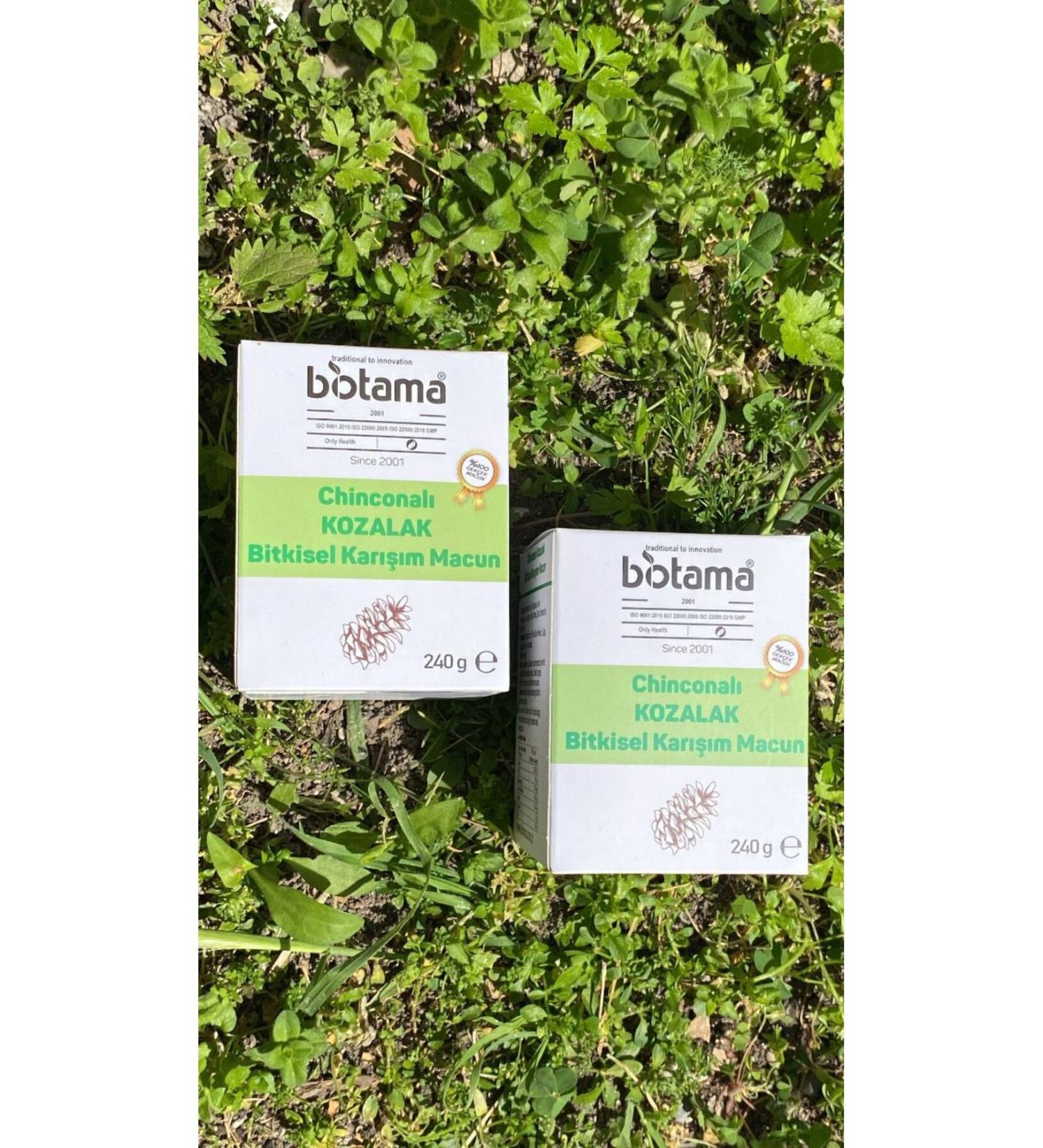 Natural Life 54 Cone Paste (BIOTAMA) 240 Gr