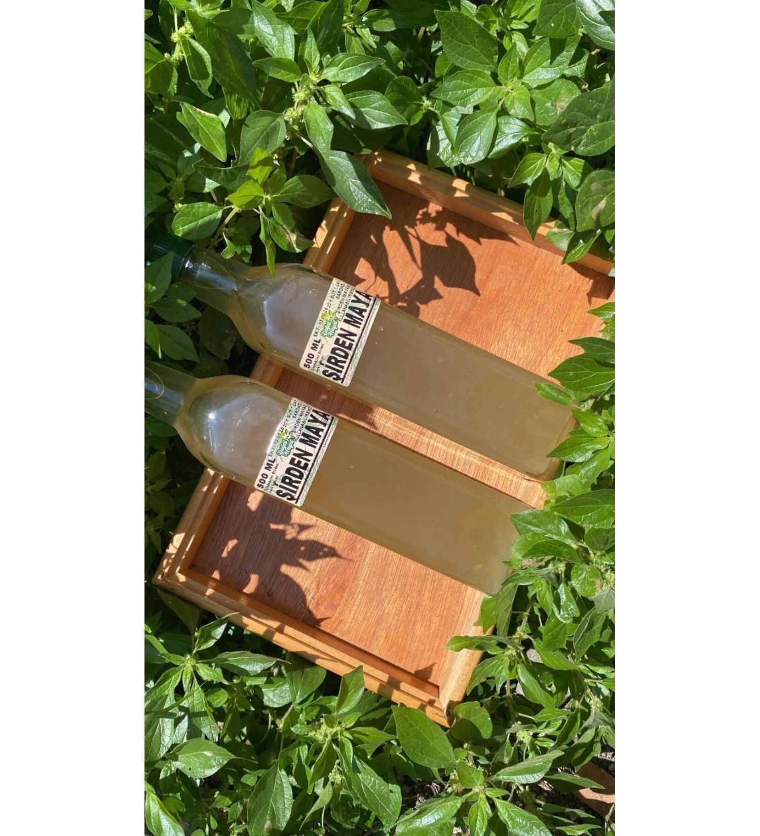 Natural Life 54 irden Yeast 250 ML