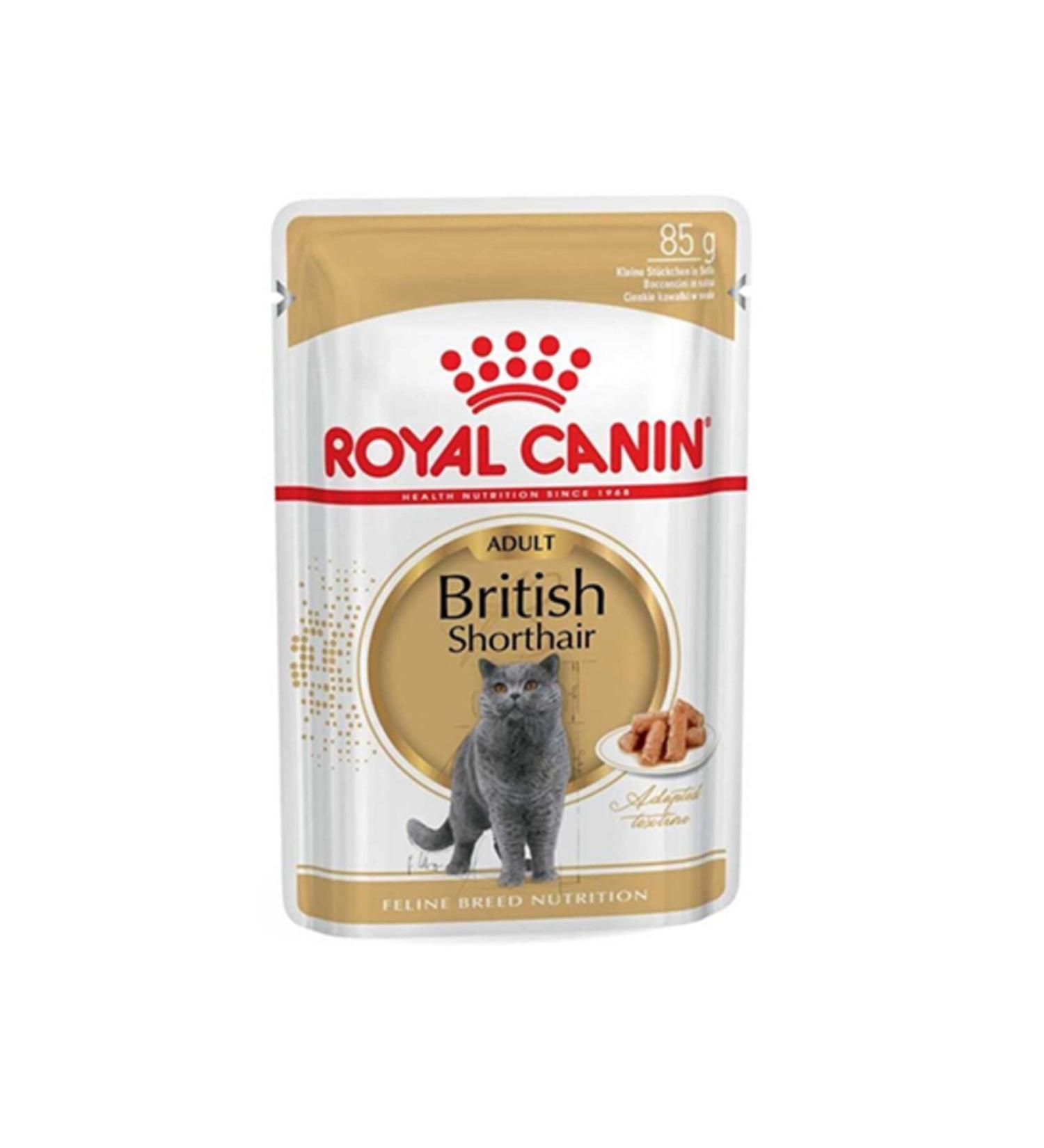 Royal Canin British Shorthair Pouch Cat Canned 12x85 Gr