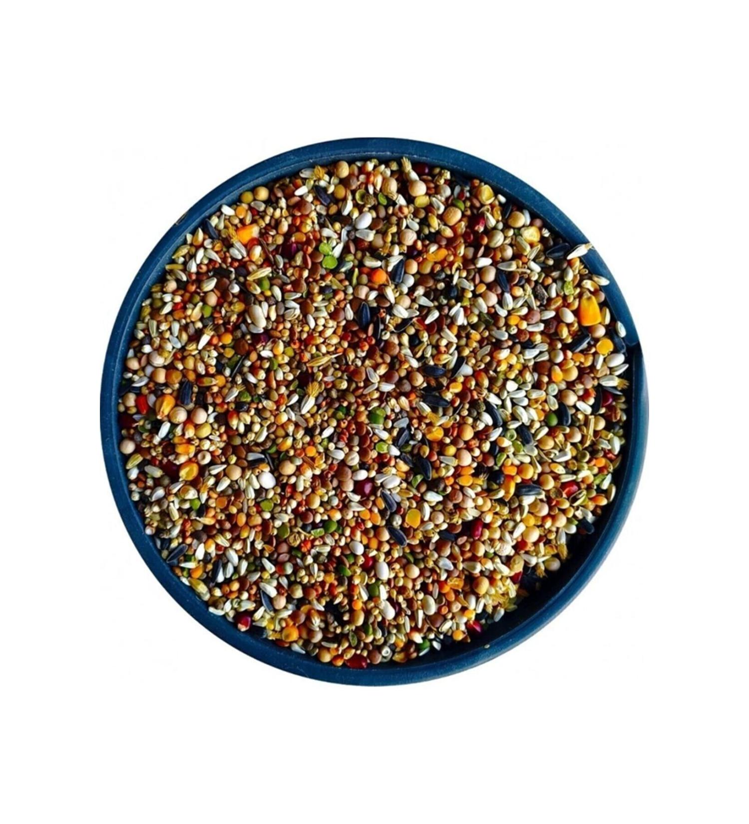 LDSG Lux Mixed Pigeon Food 2 Kg