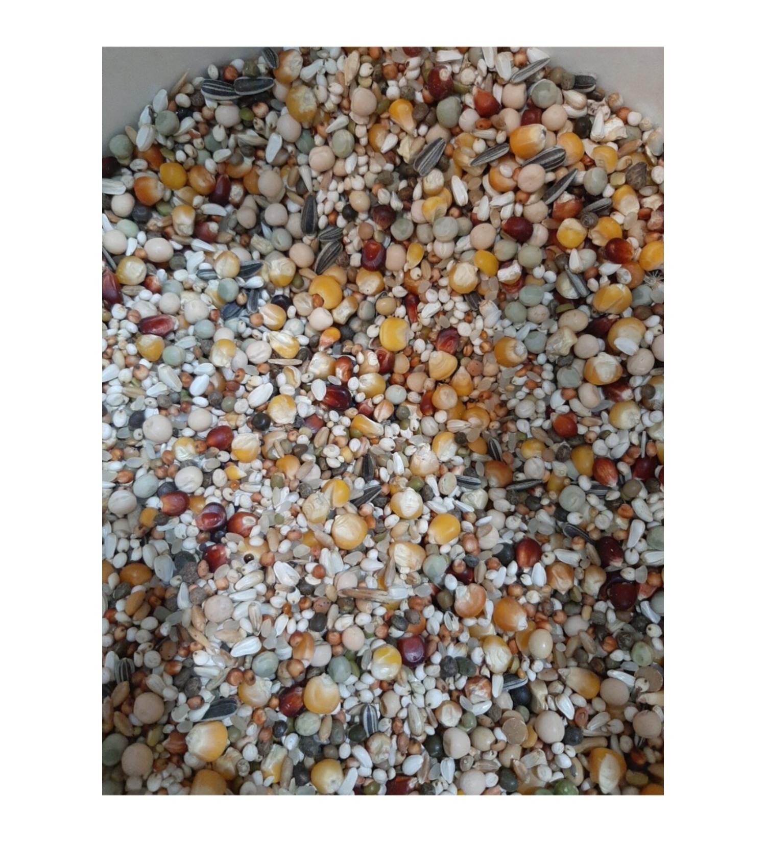 ELIXIR PROF BIRD FOOD Pigeon Food 5 Kg