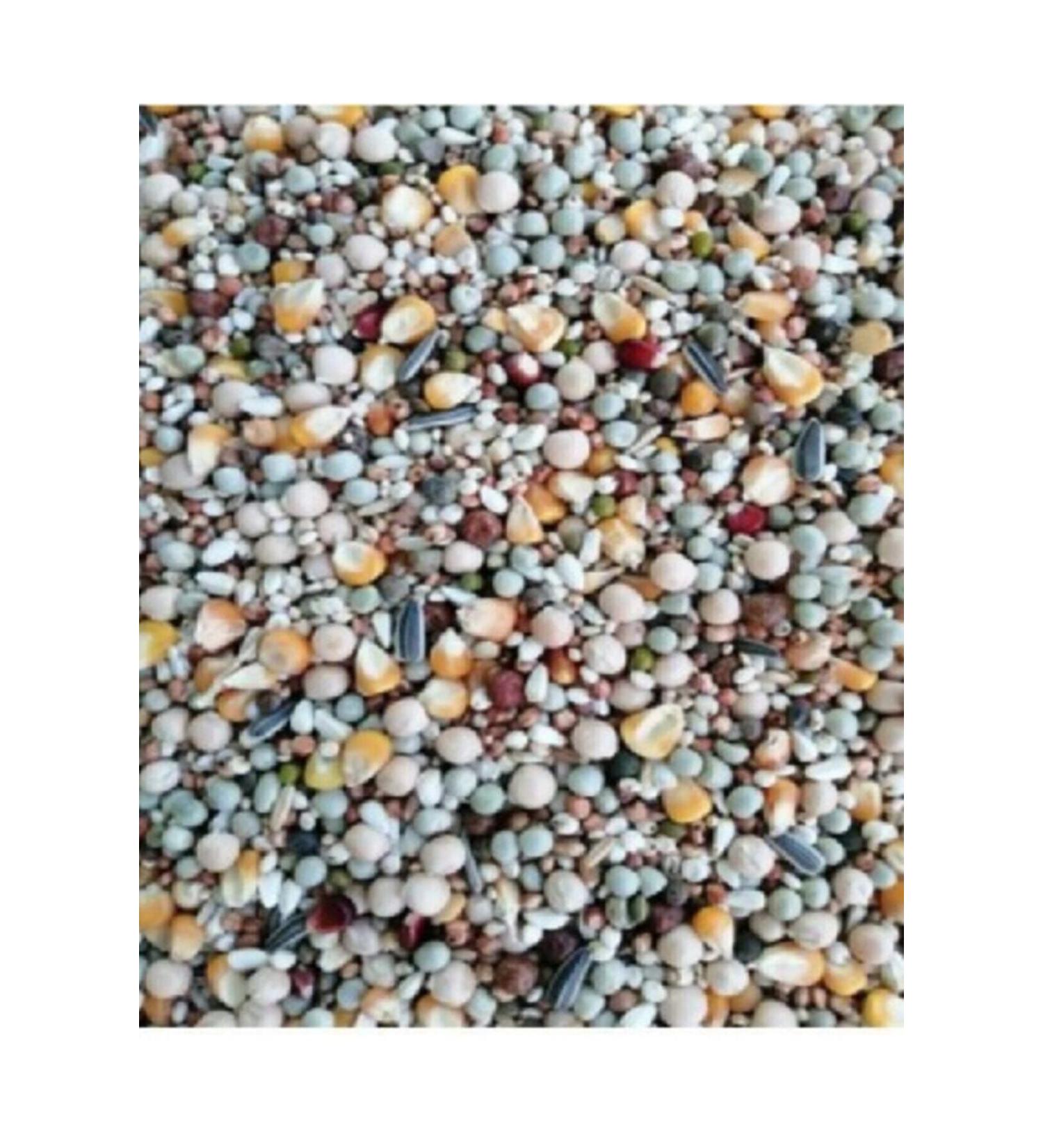 Tippler Pigeon Food 5 Kg