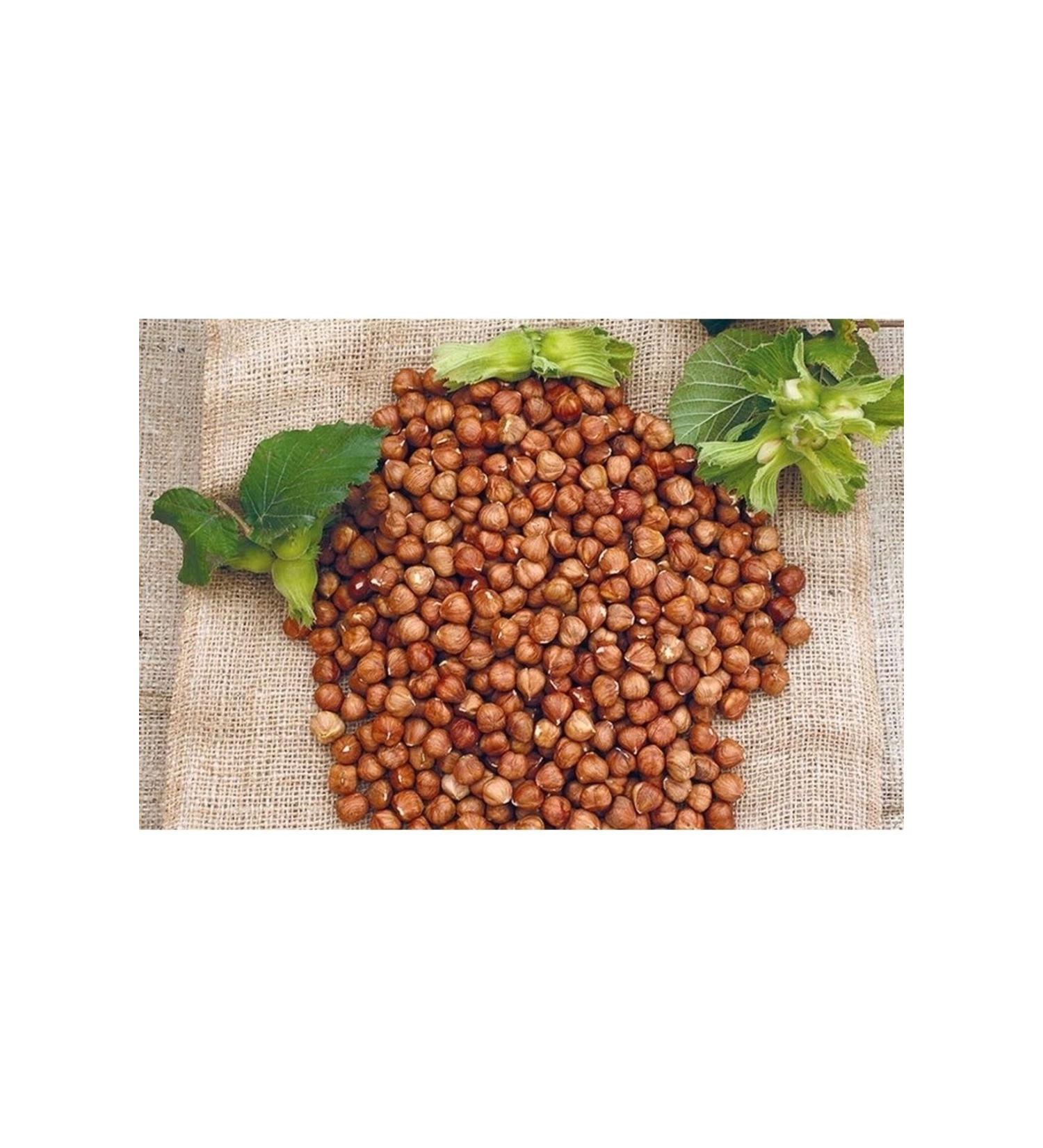 Hac o lu Spice Hatay Local Hazelnuts Raw 1 Kg / 1000 gr
