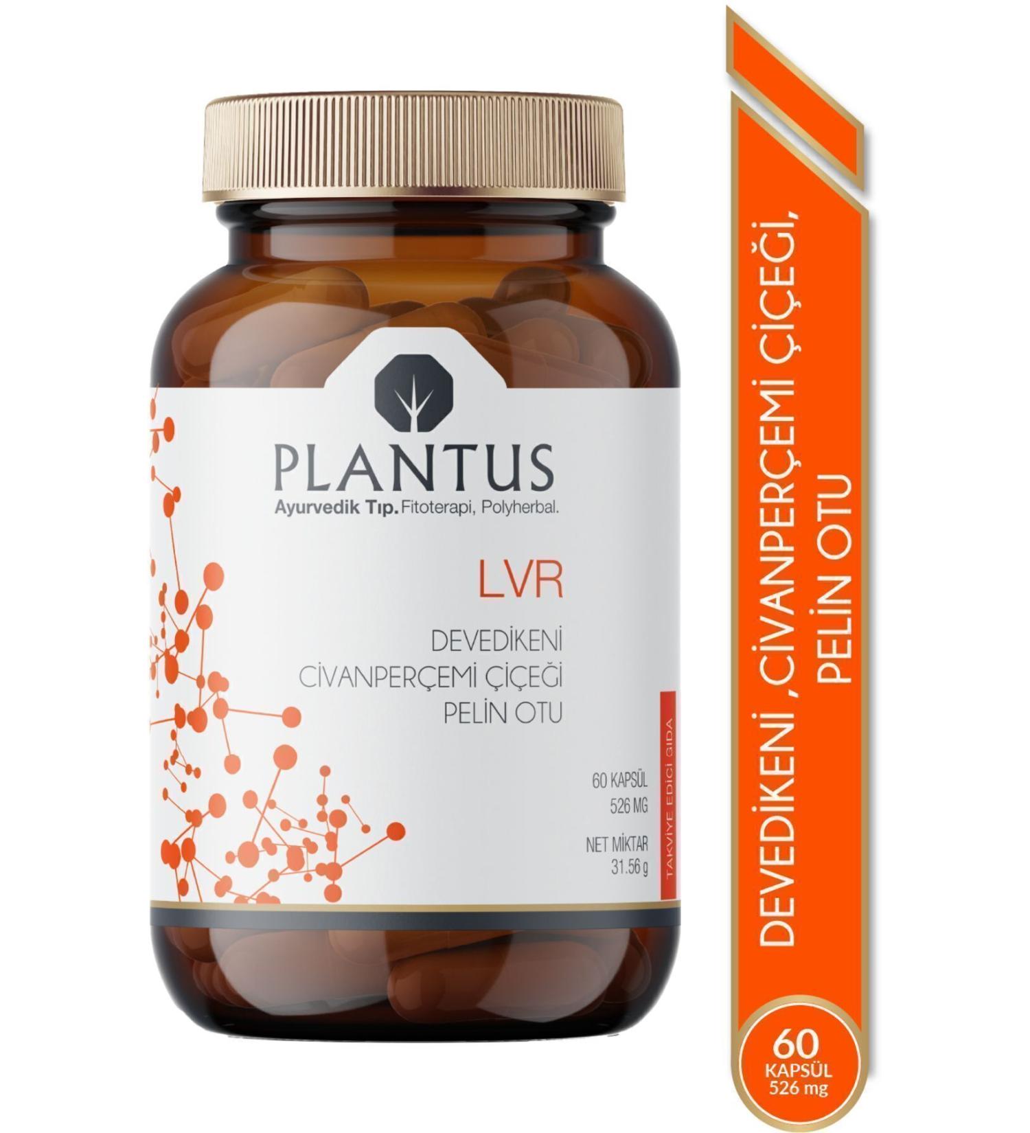 Plantus Lvr Milk Thistle - Yarrow Flower - Wormwood Extract 60 Herbal Capsules - Buy Online on GoSupps.com
