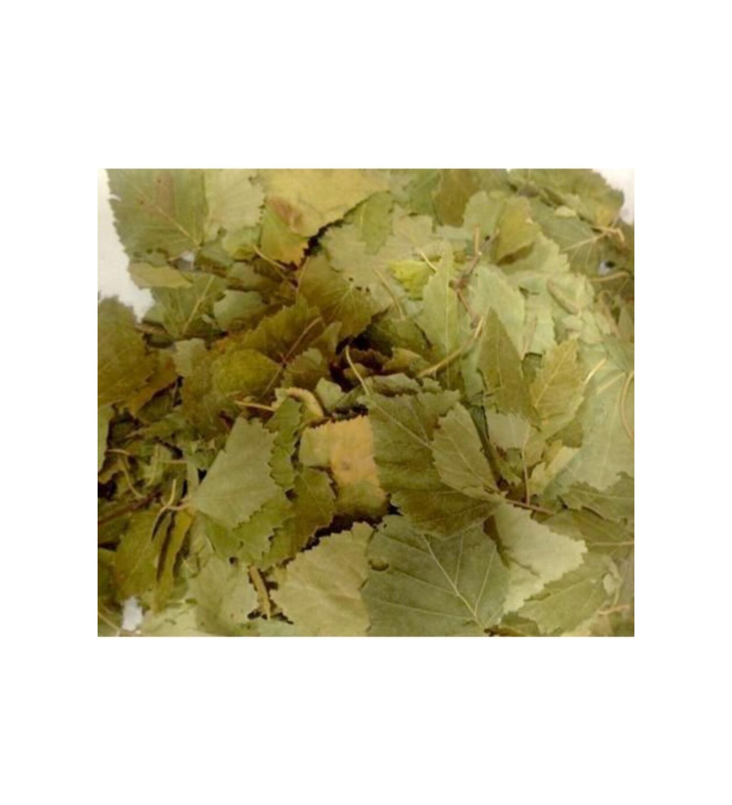 Aktarzane Birch Leaf 100gr