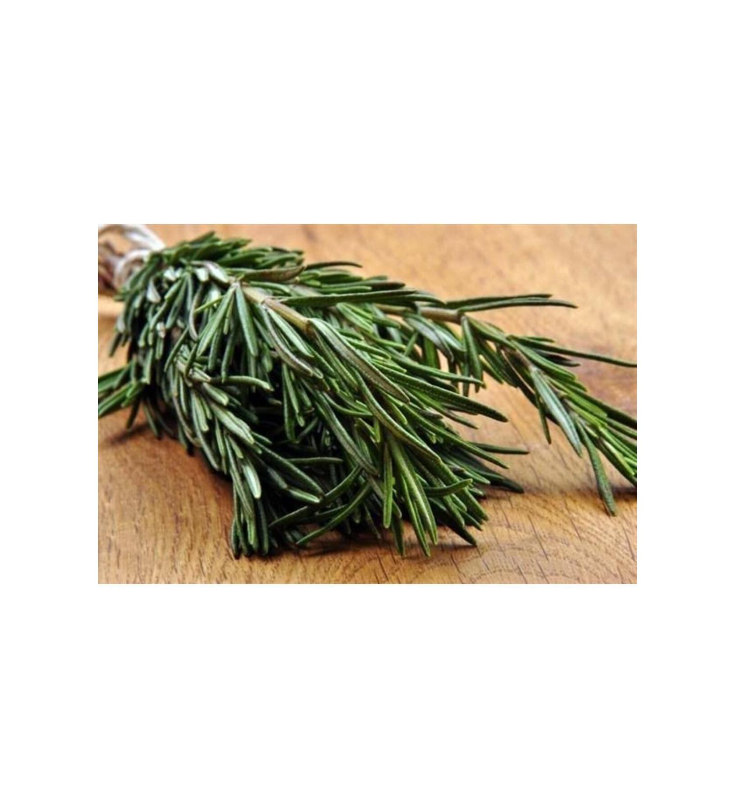 ZOVALE AGRICULTURE Rosemary Tea 250 gr