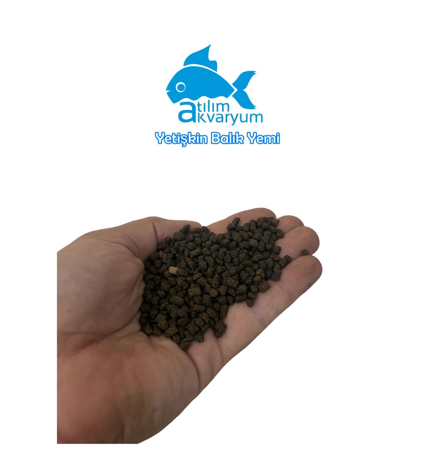 At l m Aquarium Big Fish Food High Protein Fish Food 250 Grams