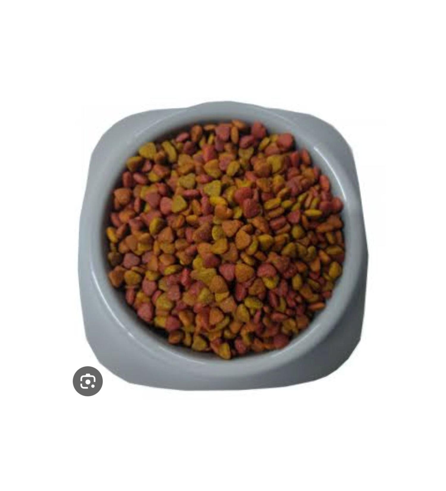 Roxin Chicken Adult Multicolored Cat Food 6 Kg