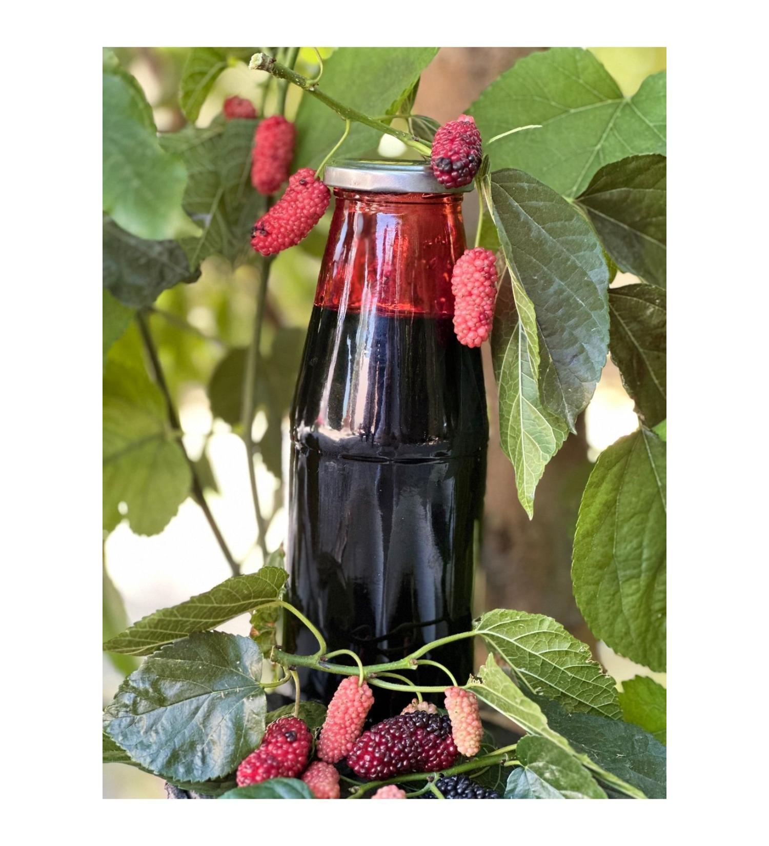 Black Mulberry from Sebo 950 gr X 3 Pieces