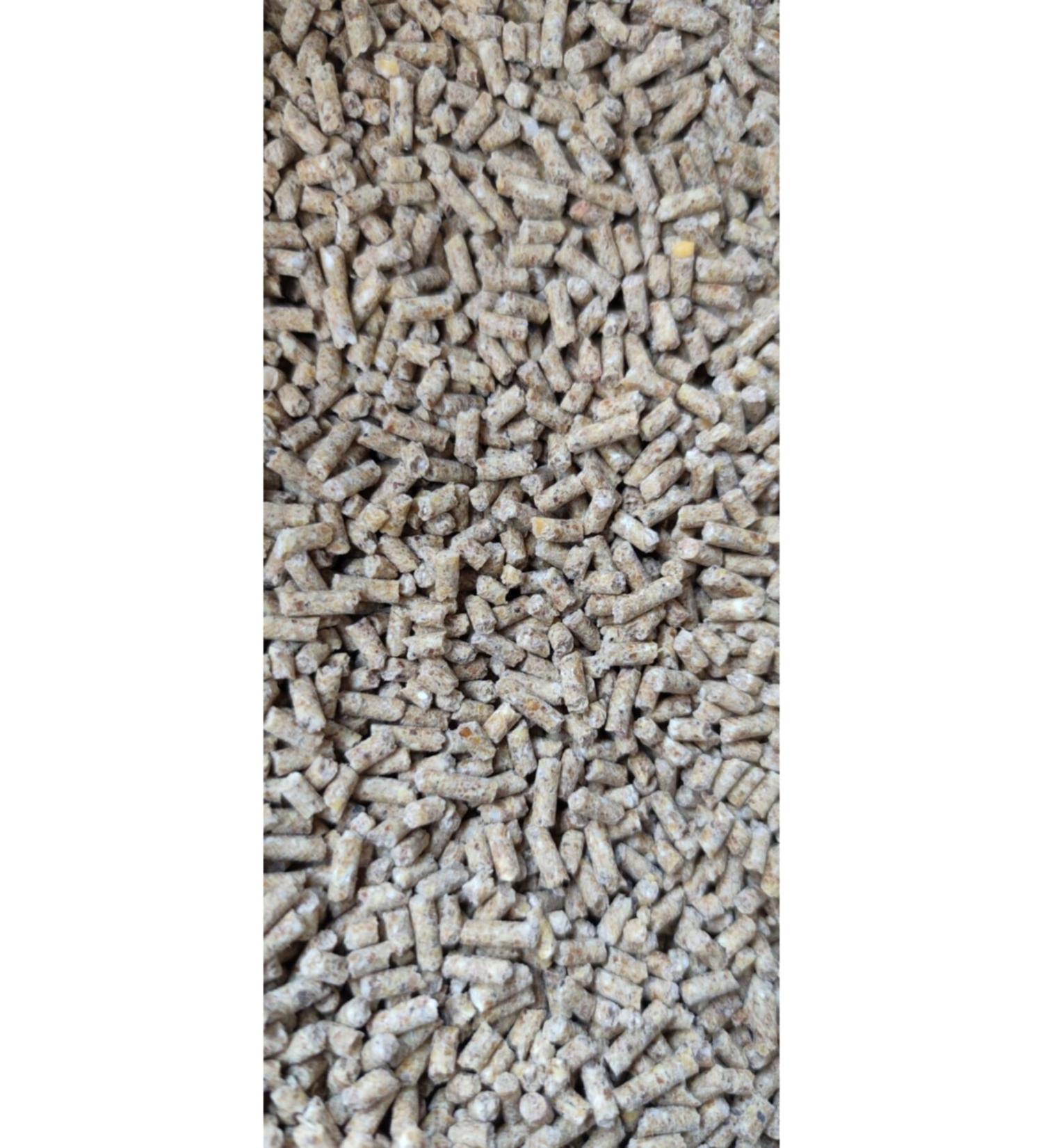Five Chicken Feed Protein 5 kg
