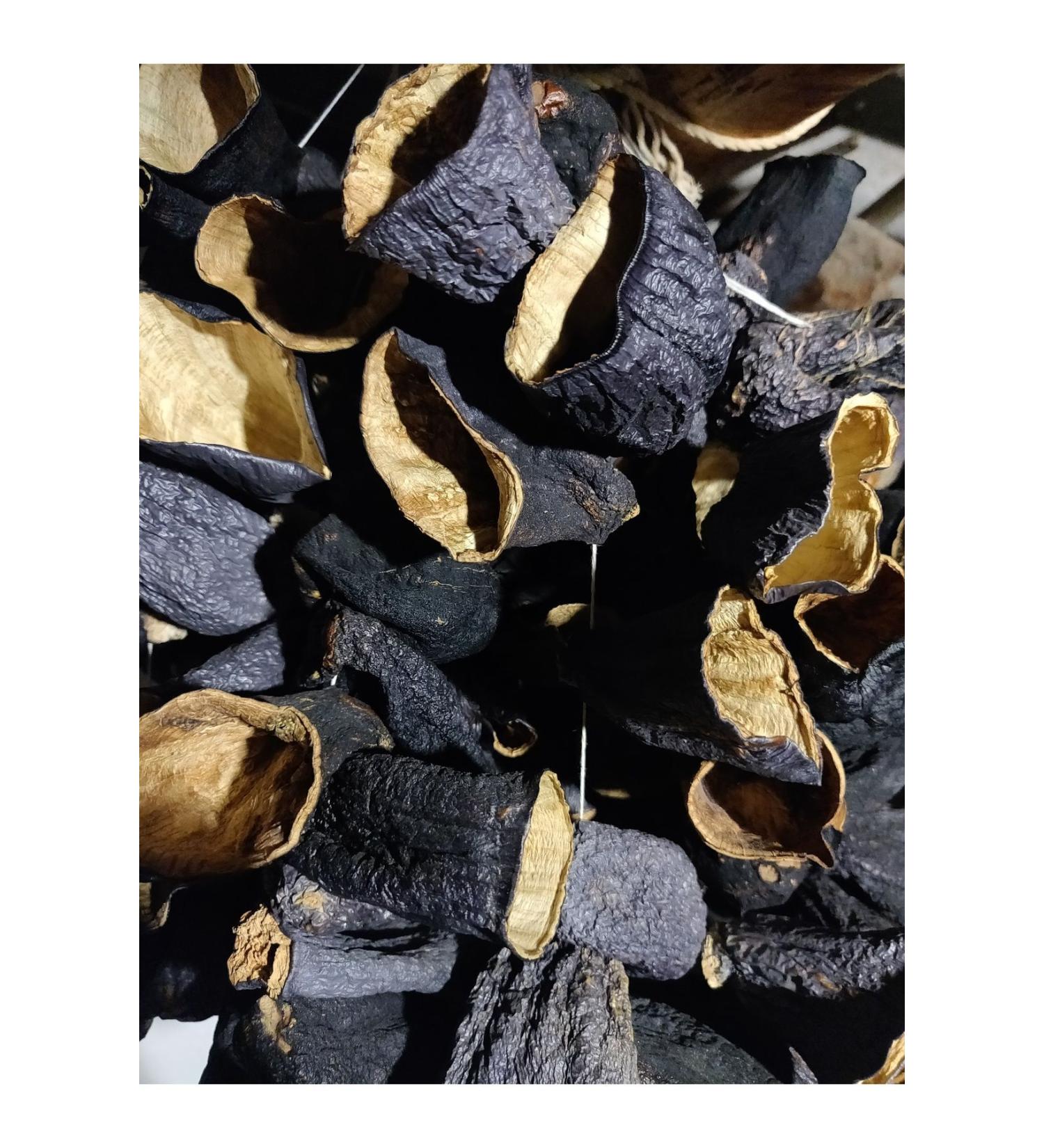 ORGANICGIDABK Dried Eggplant for Stuffing (50PCS) (2024) - Buy Online on GoSupps.com