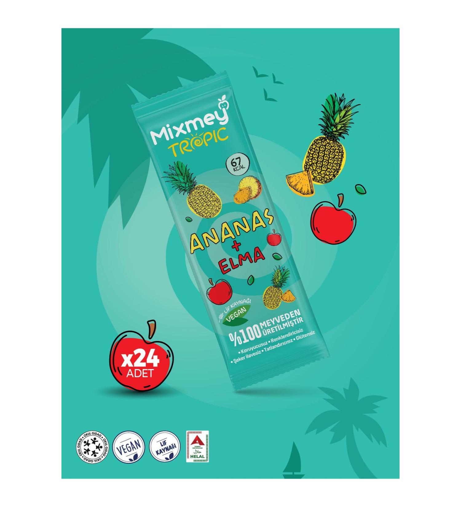Mixmey Pineapple Fruit Bar | Tropical Pineapple Natural Flavors - 20gr X 24 Pieces - Buy Online on GoSupps.com