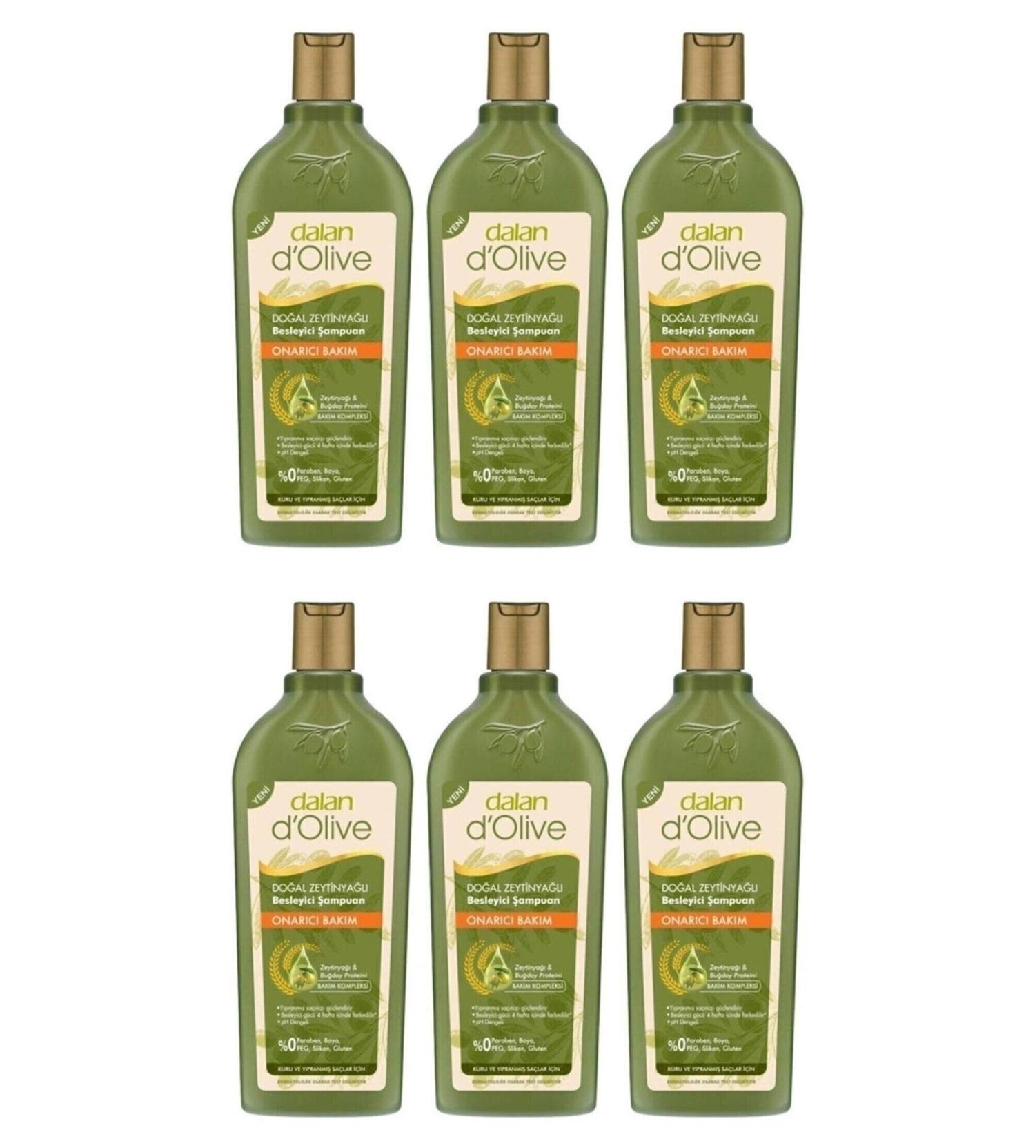 Dalan Repair Care Shampoo 400 Ml 6 Pieces