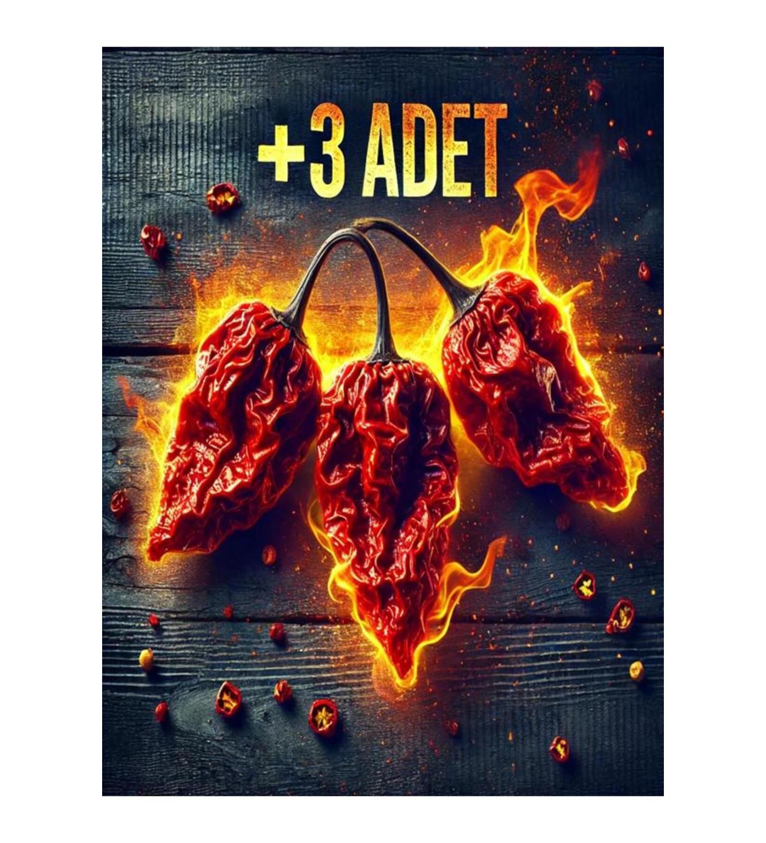 Tohumcu Kikizade Bhut Jolokia The World's 2nd Hottest Pepper Dried Pepper 3 pieces - Buy Online on GoSupps.com