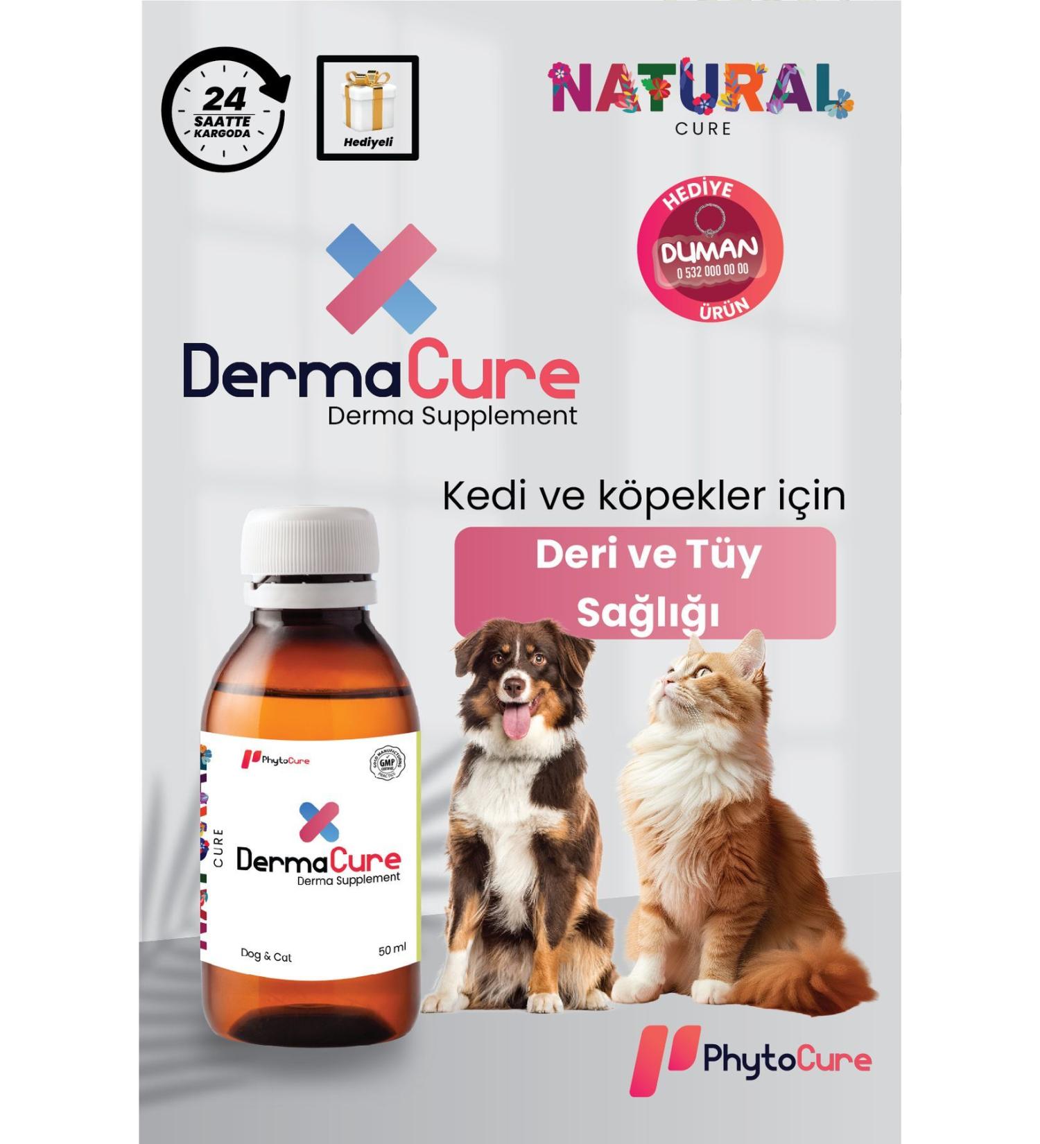 PhytoCure Derma Cure - Skin and Coat Health Support