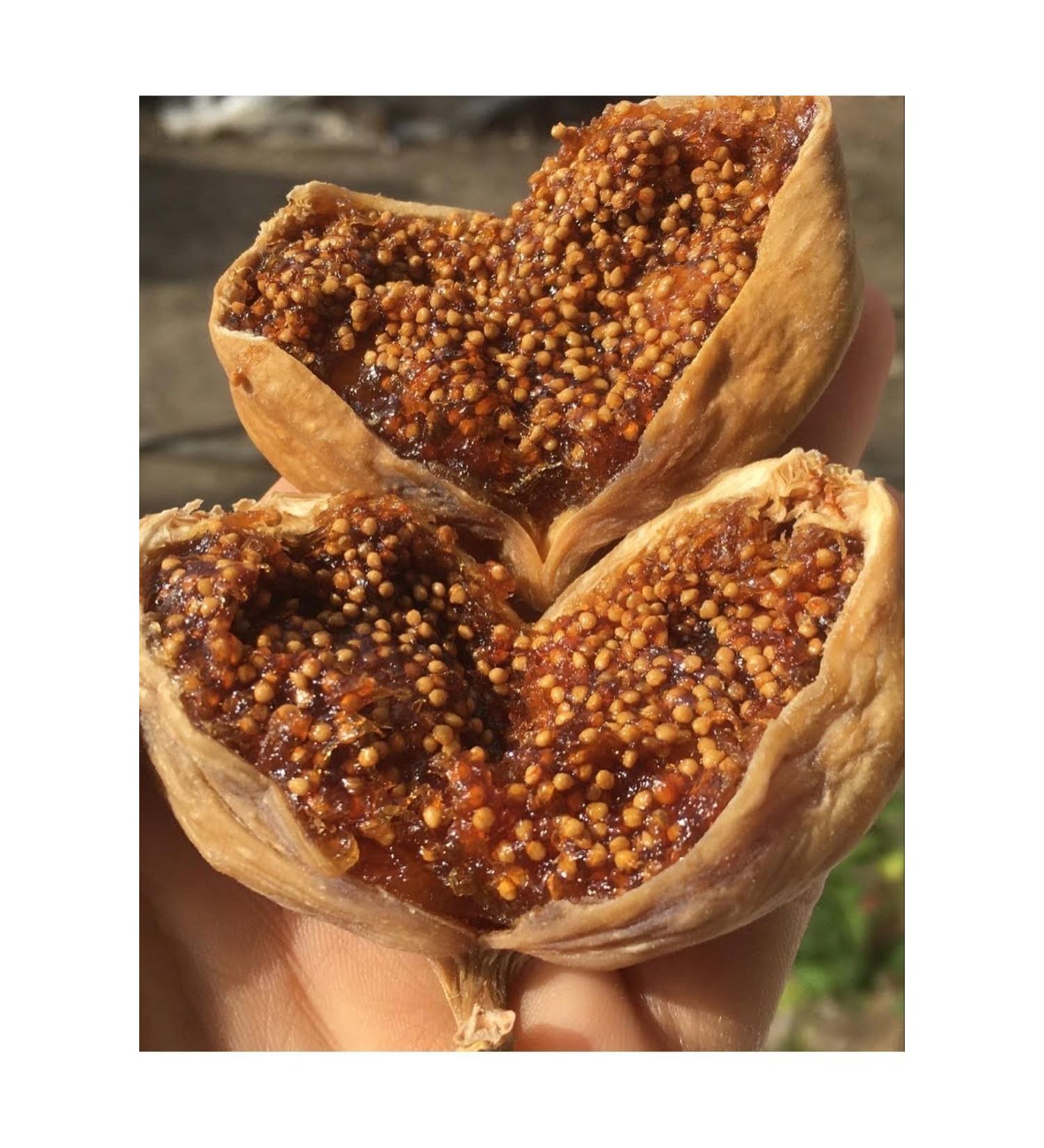From Aegean to Table Ayd n Large Size Mountain Fig (500 gr)