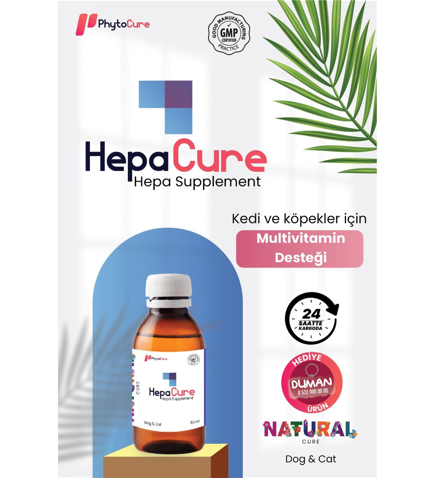 PhytoCure Hepa Cure - Liver Health Support