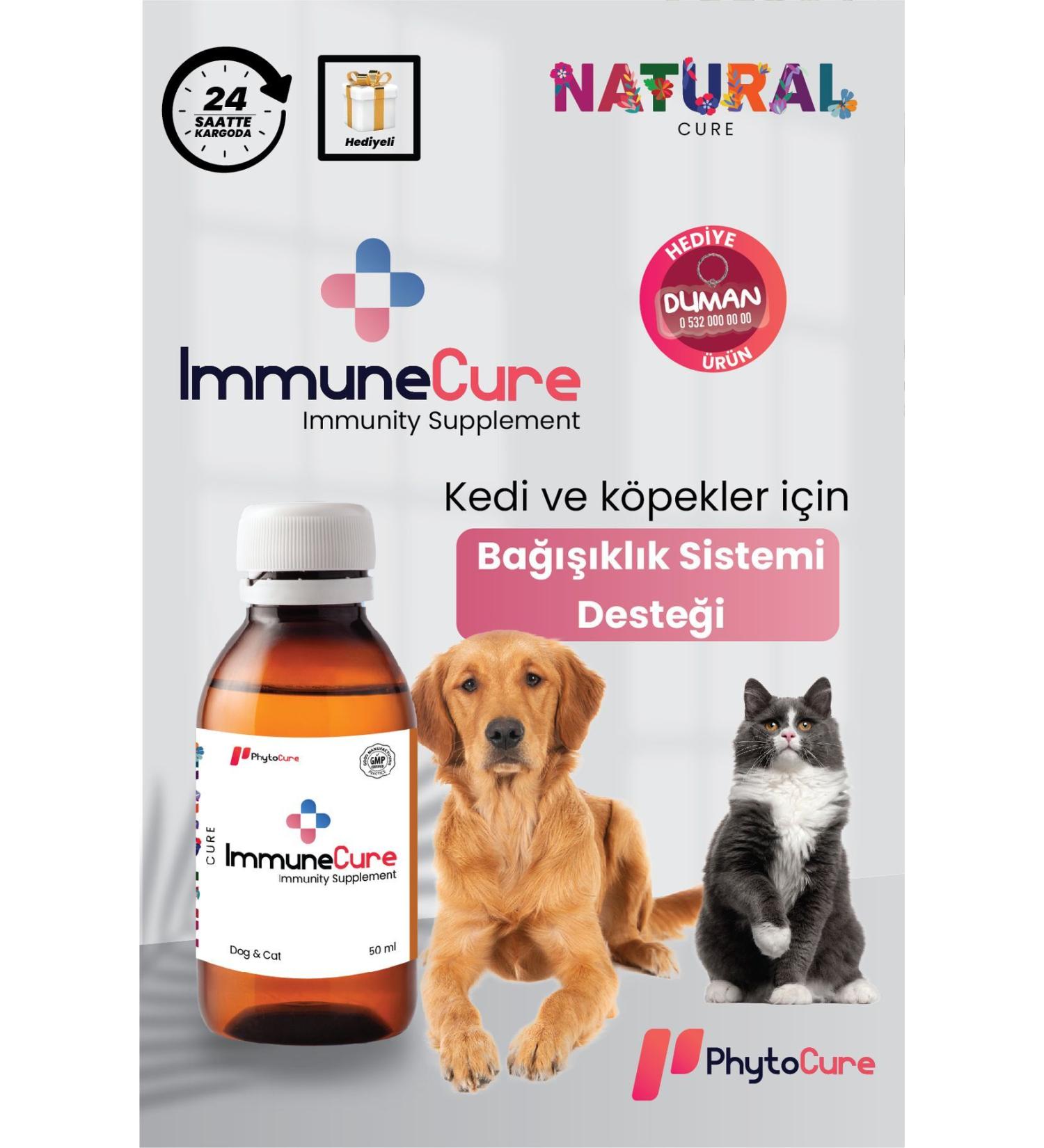 PhytoCure Immune Cure - Immune System Supporter