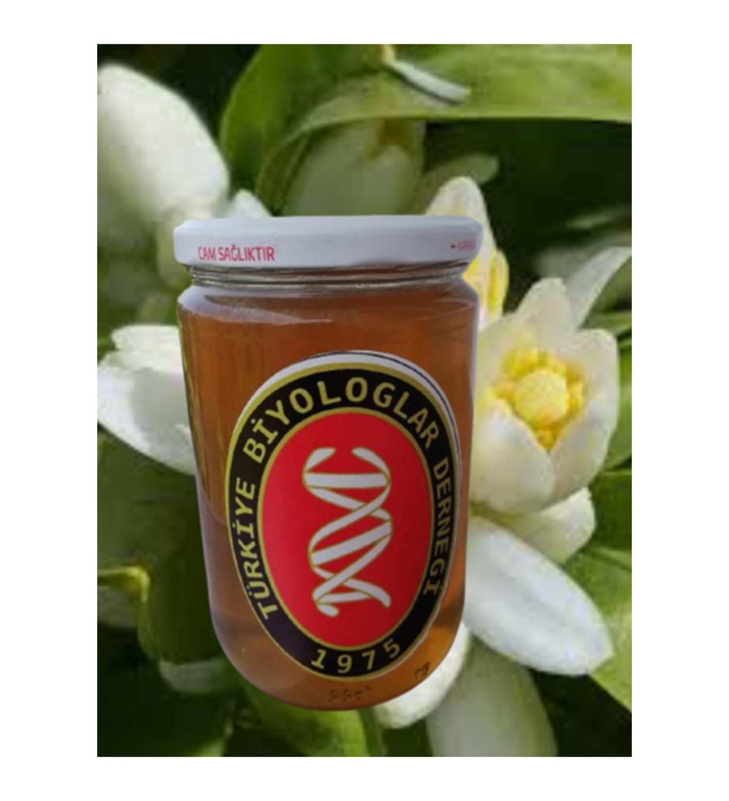 TBD QUALITY SEFER H SAR SATSUMA TANGERINE BLOSSOM HONEY (RAW HONEY) 800gr