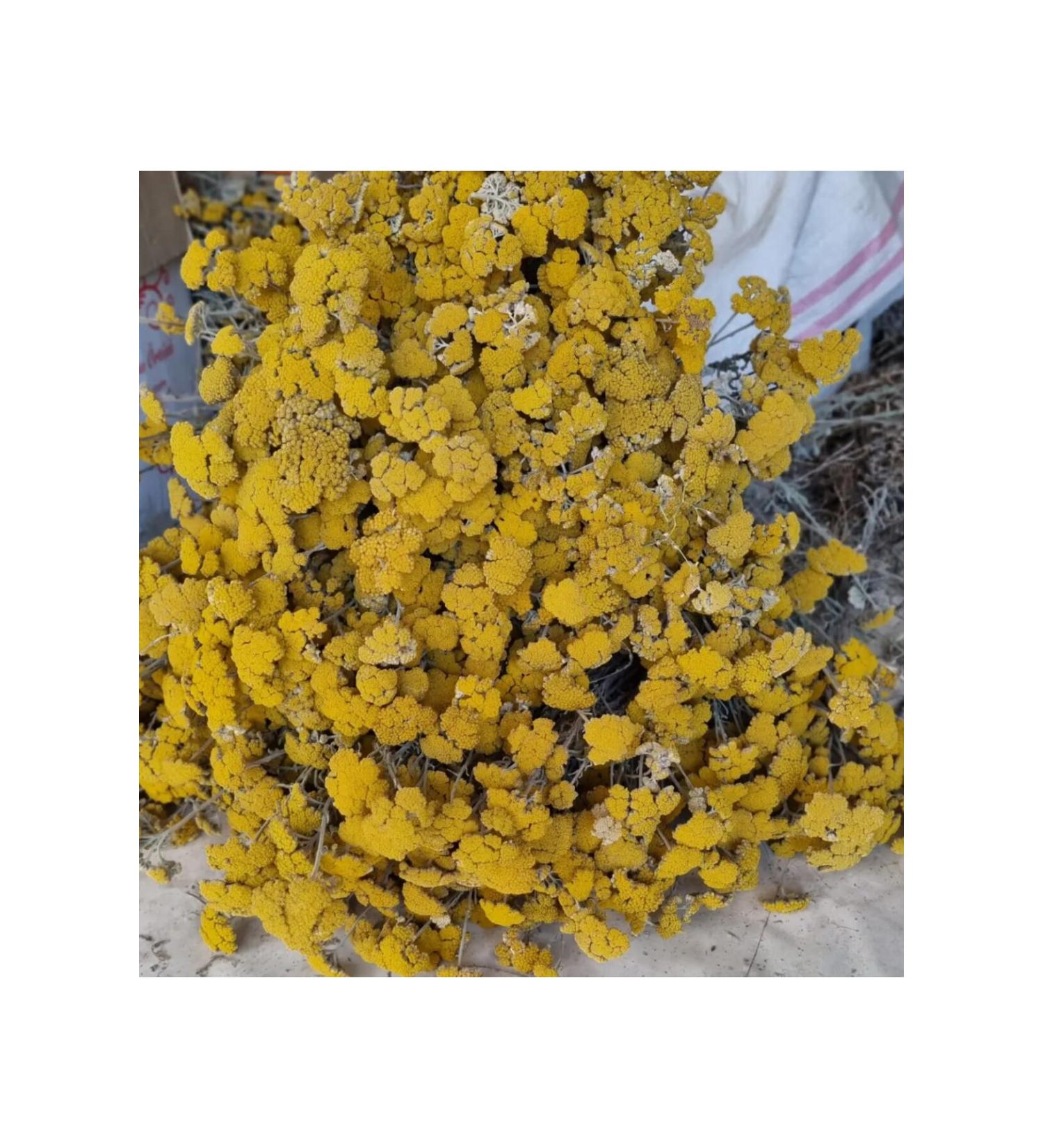 NATURE'S BLESSING YARROW 1 KG ORGANIC (New Crop Naturally Dried Sieved)