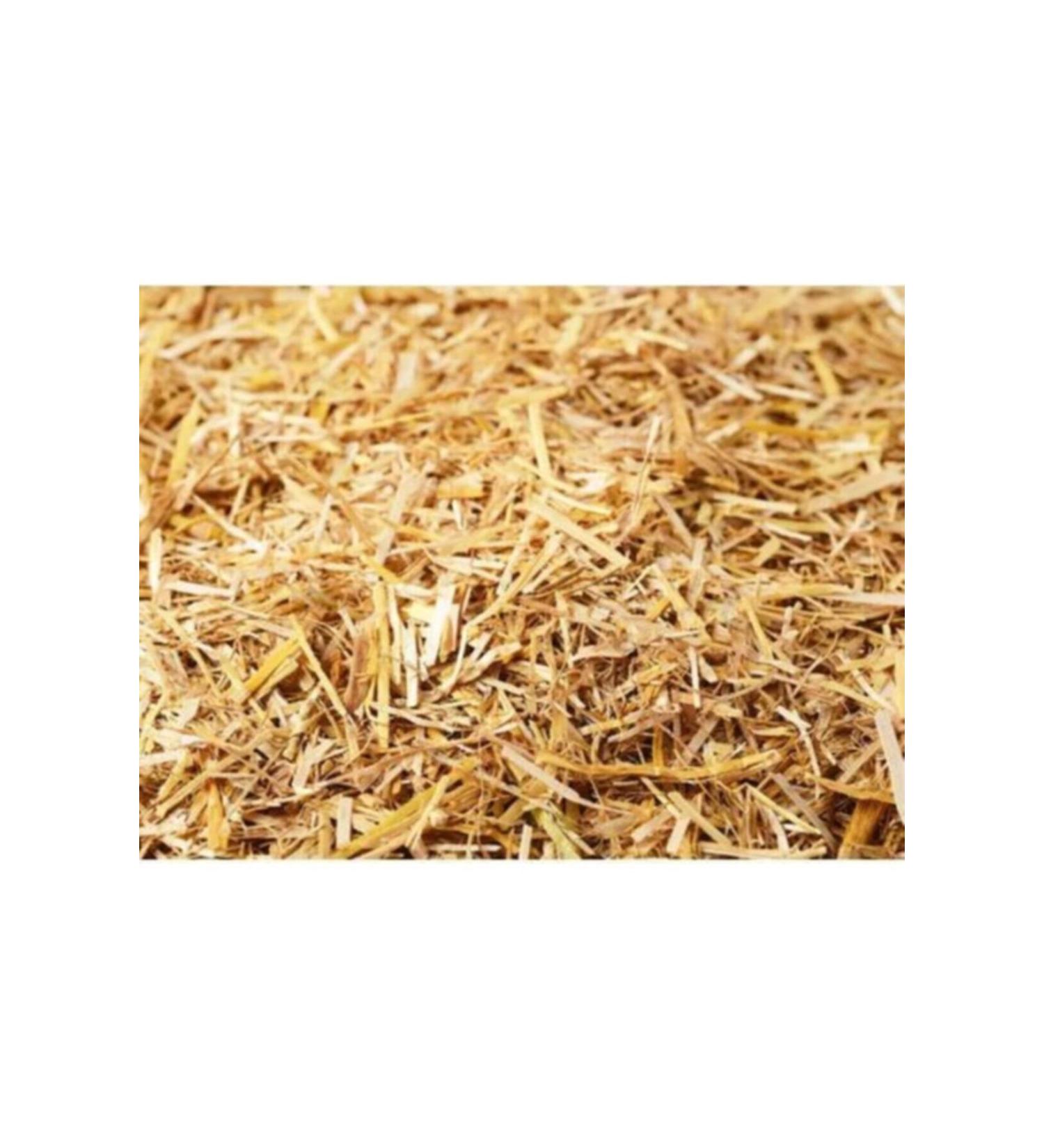 Nebula Rodent Barley Straw - 3kg - Buy Online on GoSupps.com