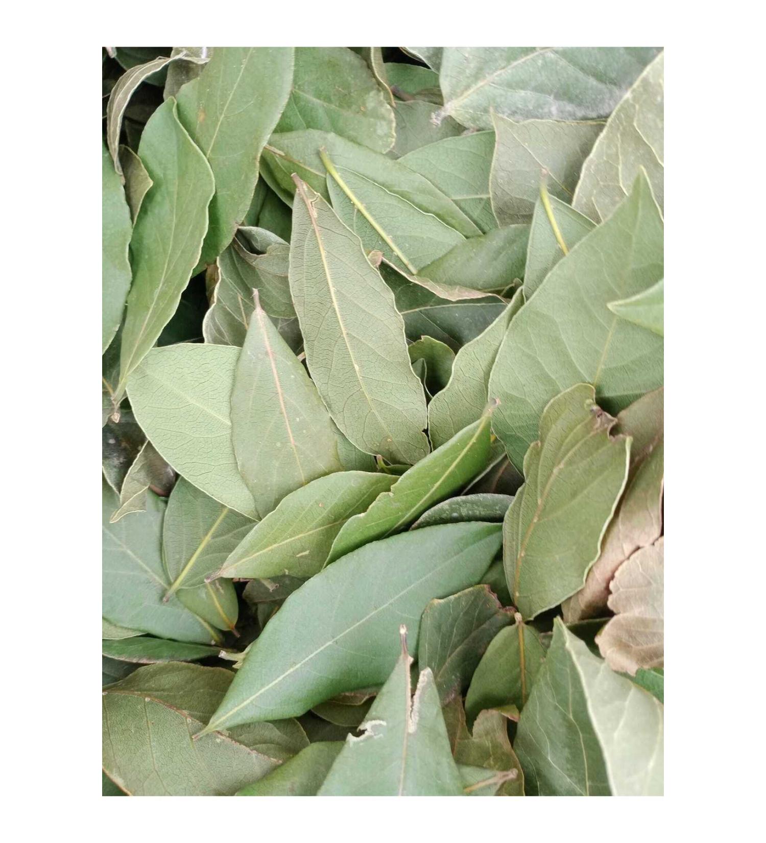 NATURE'S BLESSING Bay Leaf 1 KG ORGANIC (New Crop Naturally Dried Sifted)