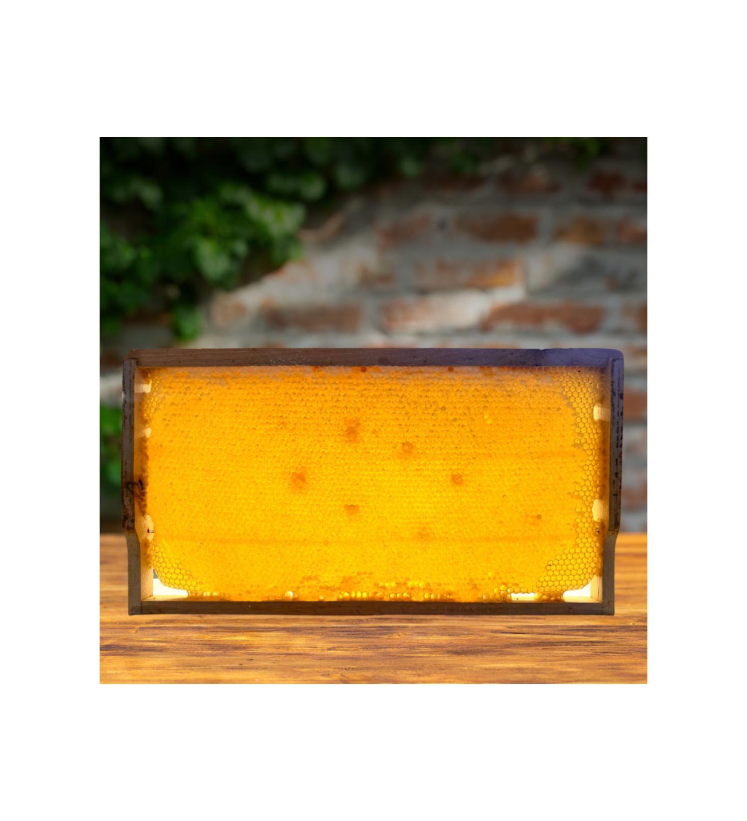 ms milk shop market FRAME HONEY 1 KG