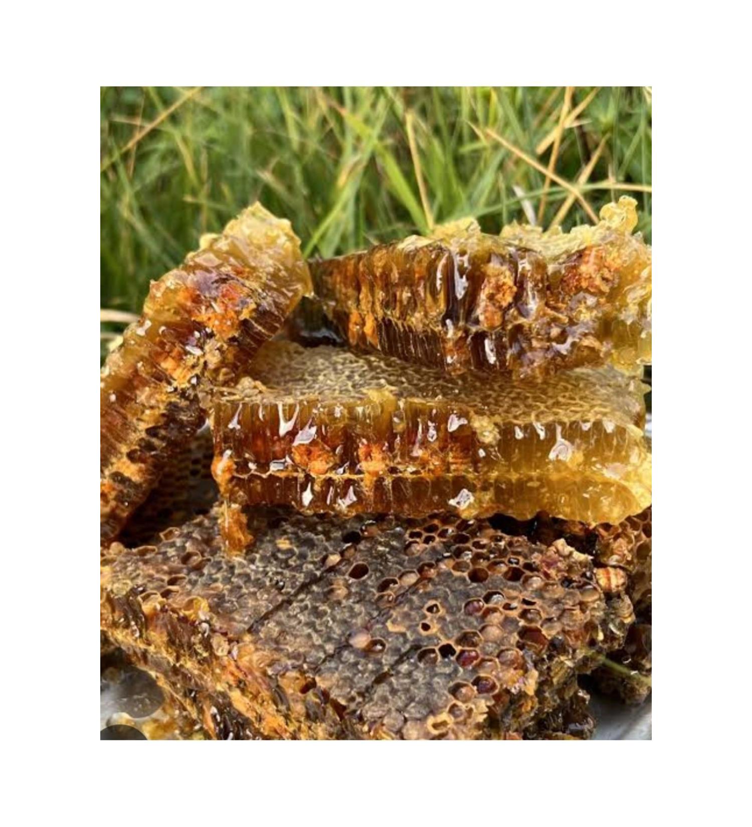 OZMU BAL Bee Bread 3 kg with Honeycomb