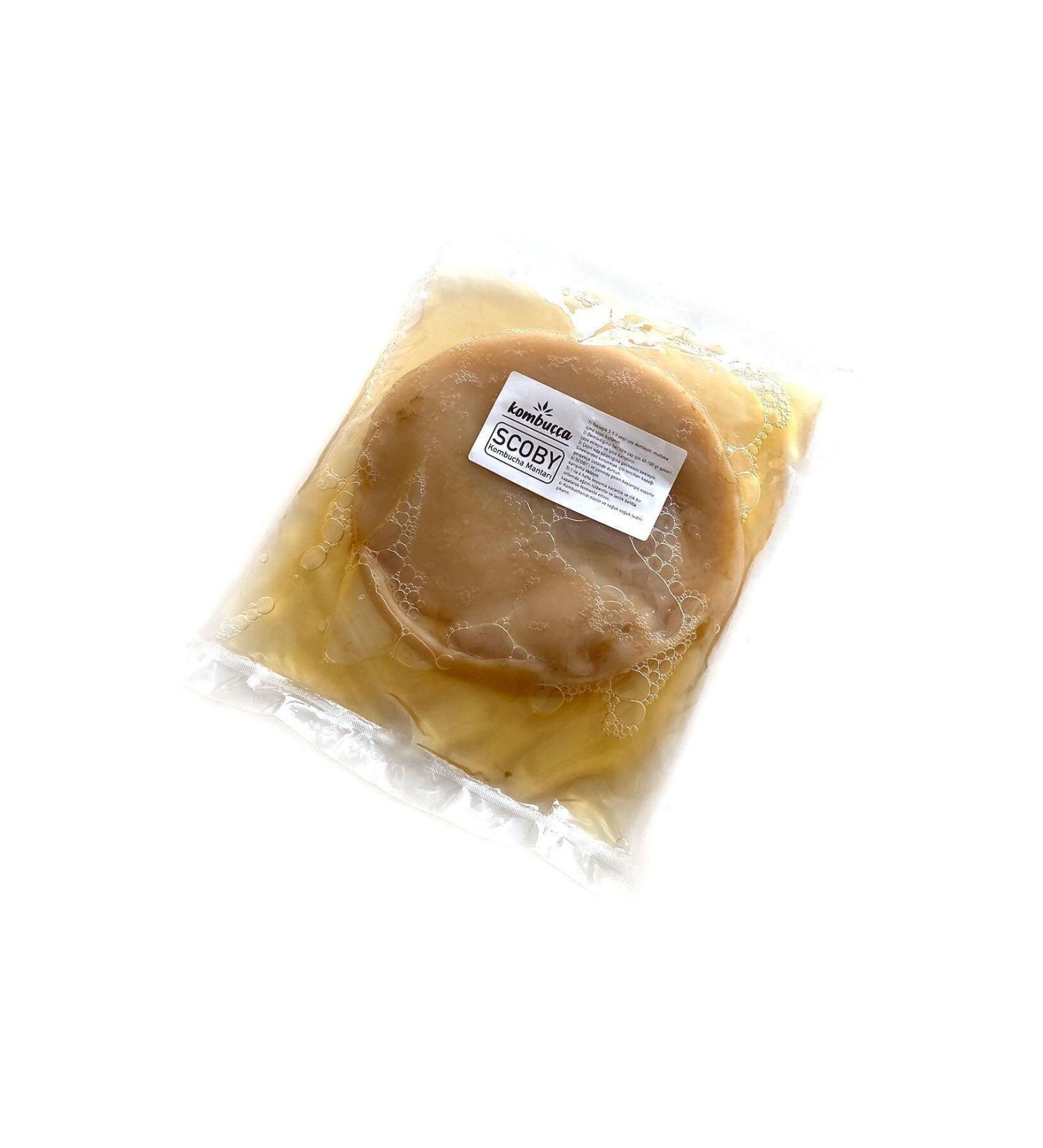 Kombucha Organic Kombucha Mushroom Kombucha SCOBY - Kombucha Tea - Kombucha Culture Yeast - Buy Online on GoSupps.com