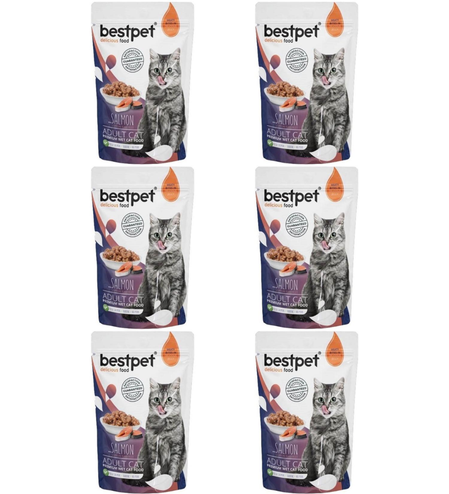 Bestpet Pouch Adult Cat Canned Food with Salmon 85gr - 6 Pieces