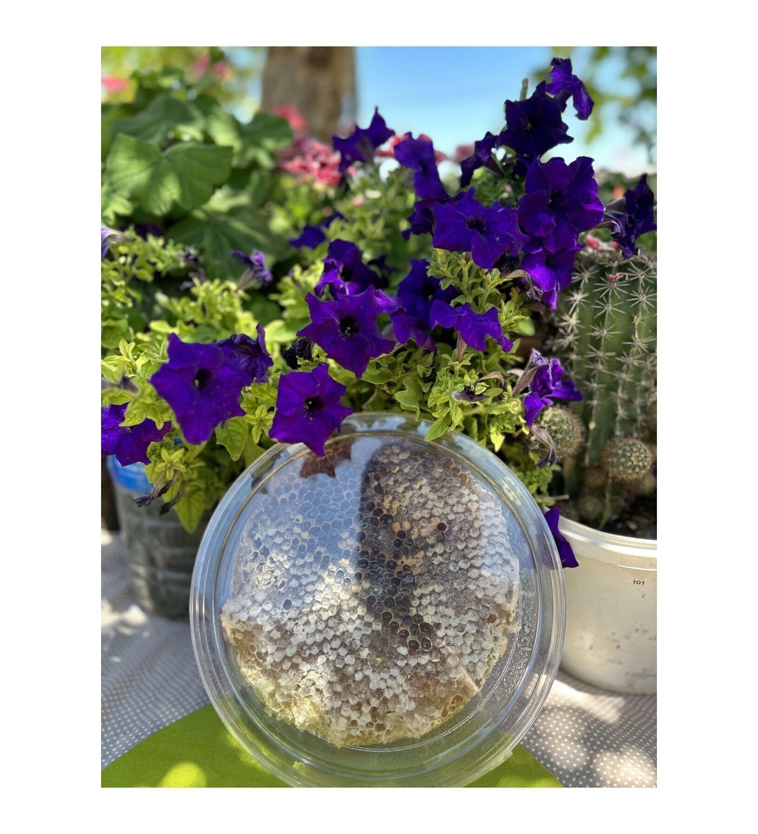 Aydin Artichoke Village Products 1 kg Karakovan Honey