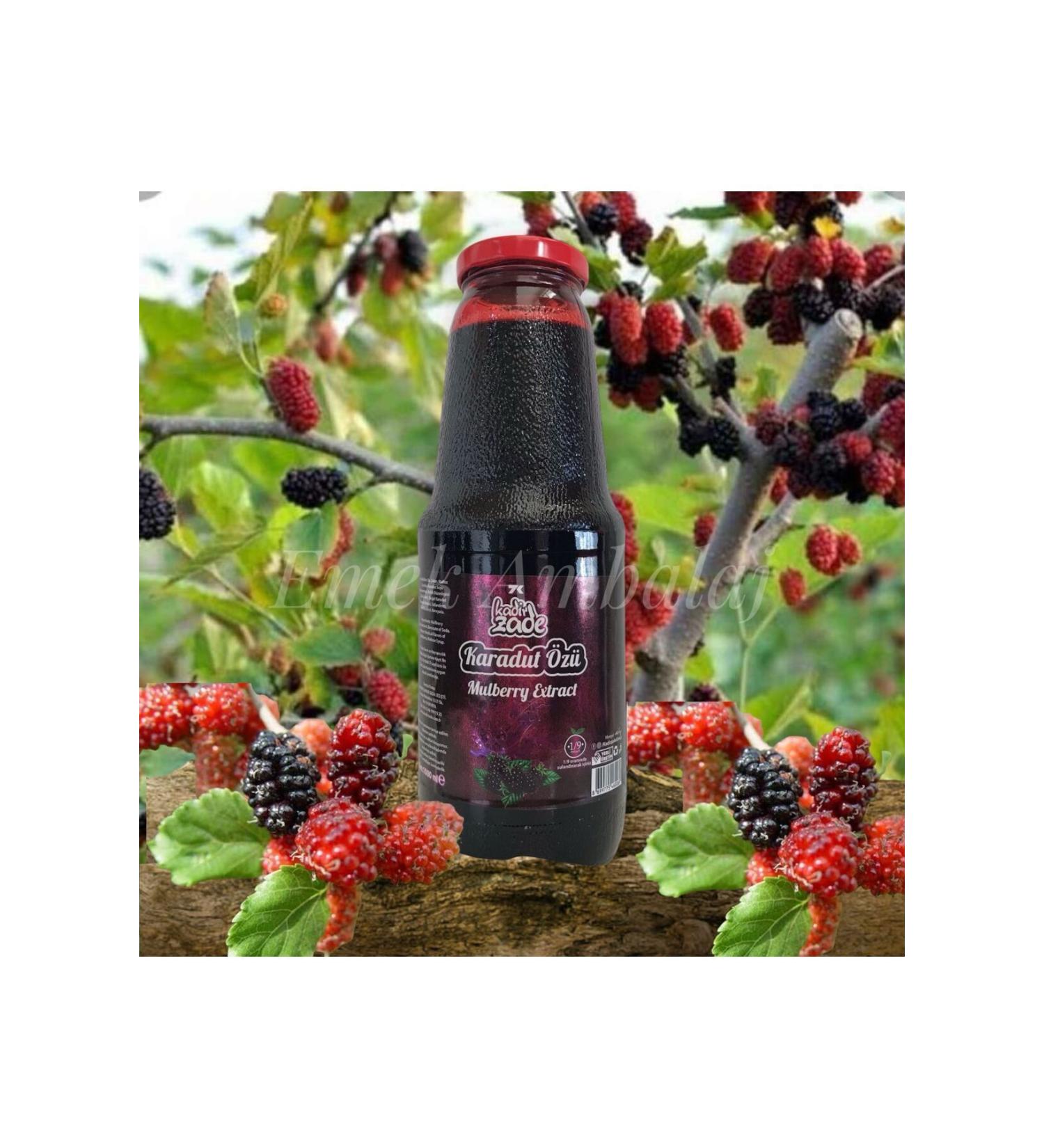 KADIRZADE Fat Black Mulberry Extract 1450 gr