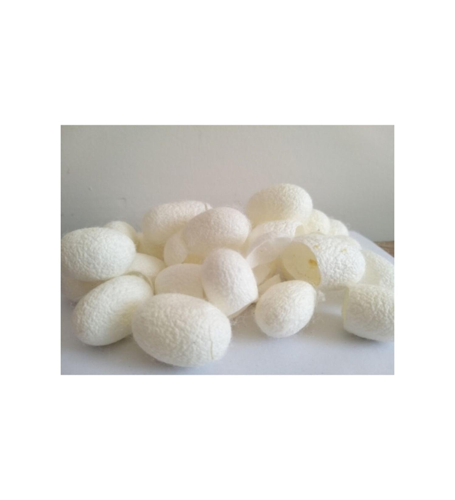 Phrygian Silkworm Cocoon Silkworm Cocoon Facial Peeling - Buy Online on GoSupps.com