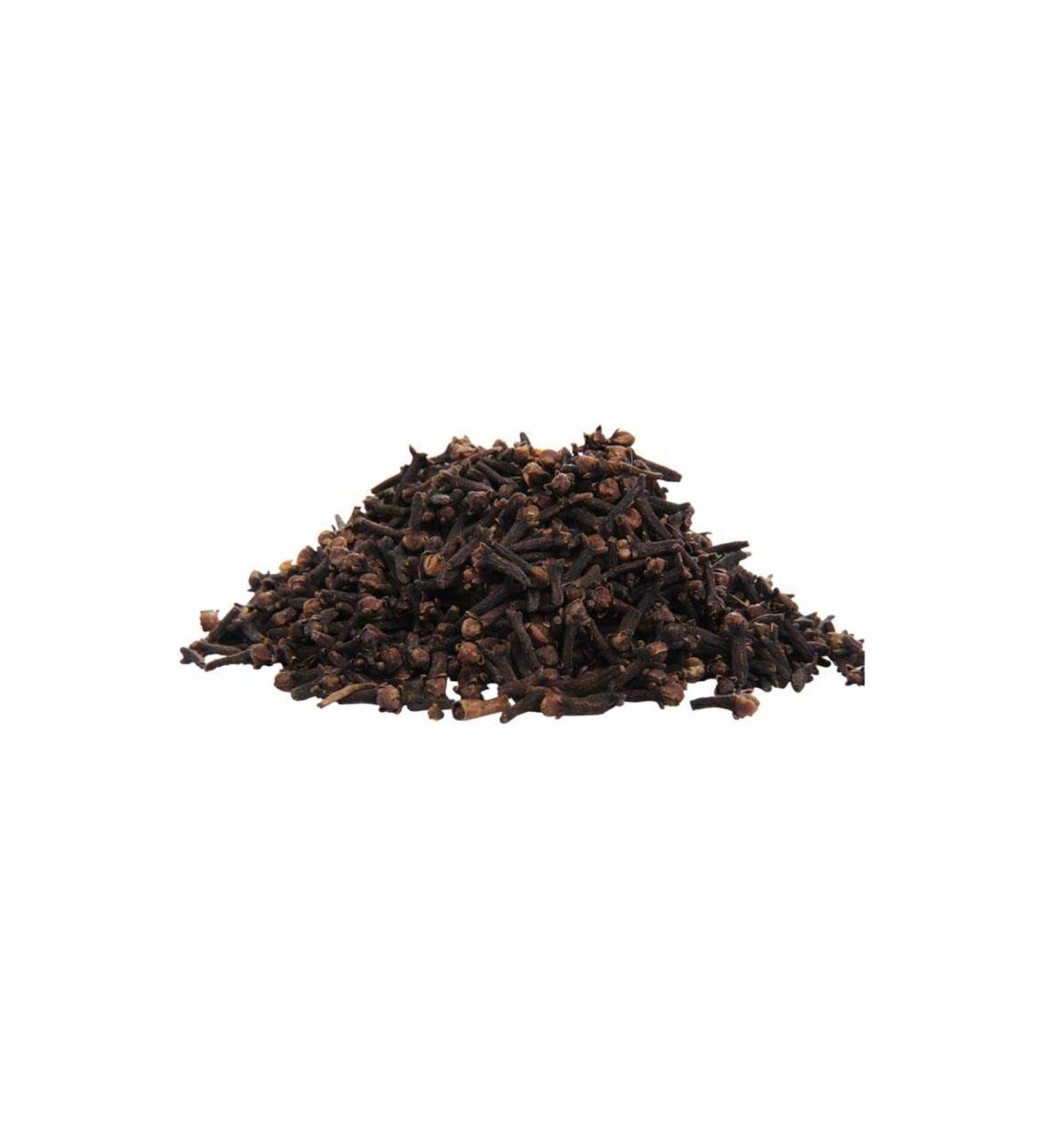 Translator Carnation - Tanzania