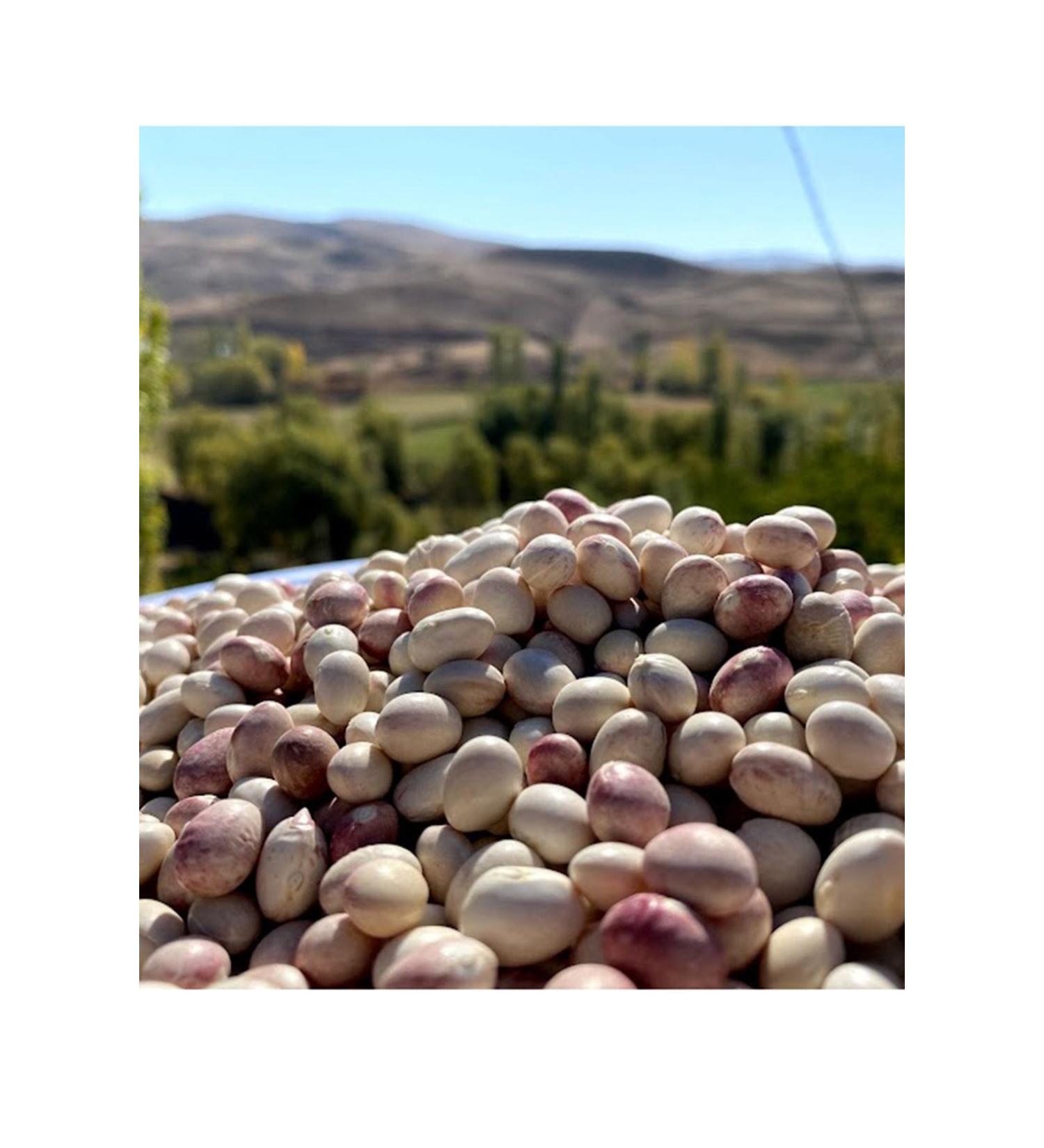Come From The Village Ispir Beans - 1 Kg - Buy Online on GoSupps.com