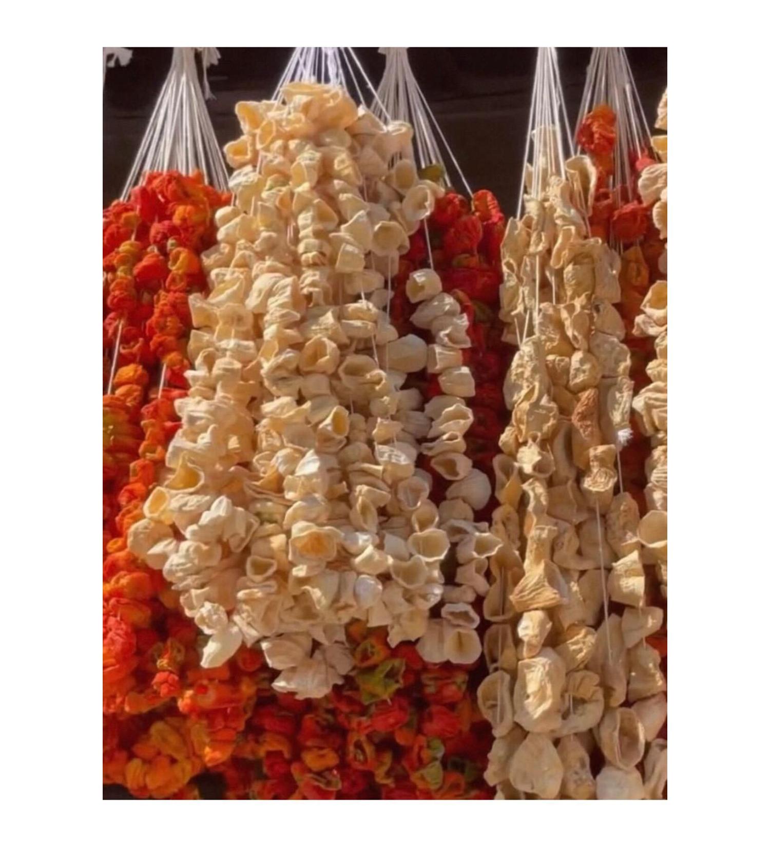 Flavourbest Gastronomy City 27 Dried Stuffed Antep Zucchini 25 Pieces