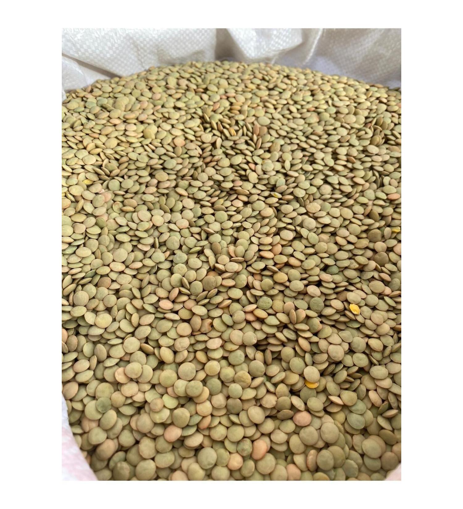 G LTEK N HONEY GREEN LENTIL 2kg - Buy Online on GoSupps.com
