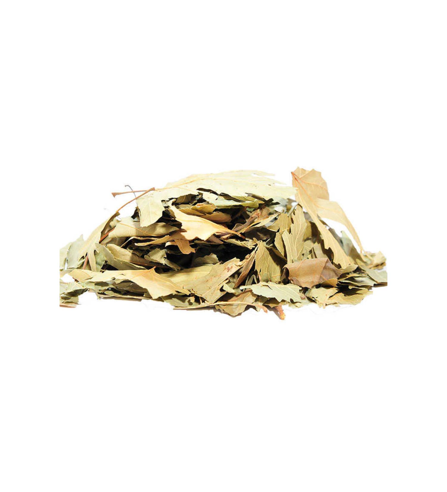 YMC AVM CLZ214 Plane Leaf 100 Gr Package