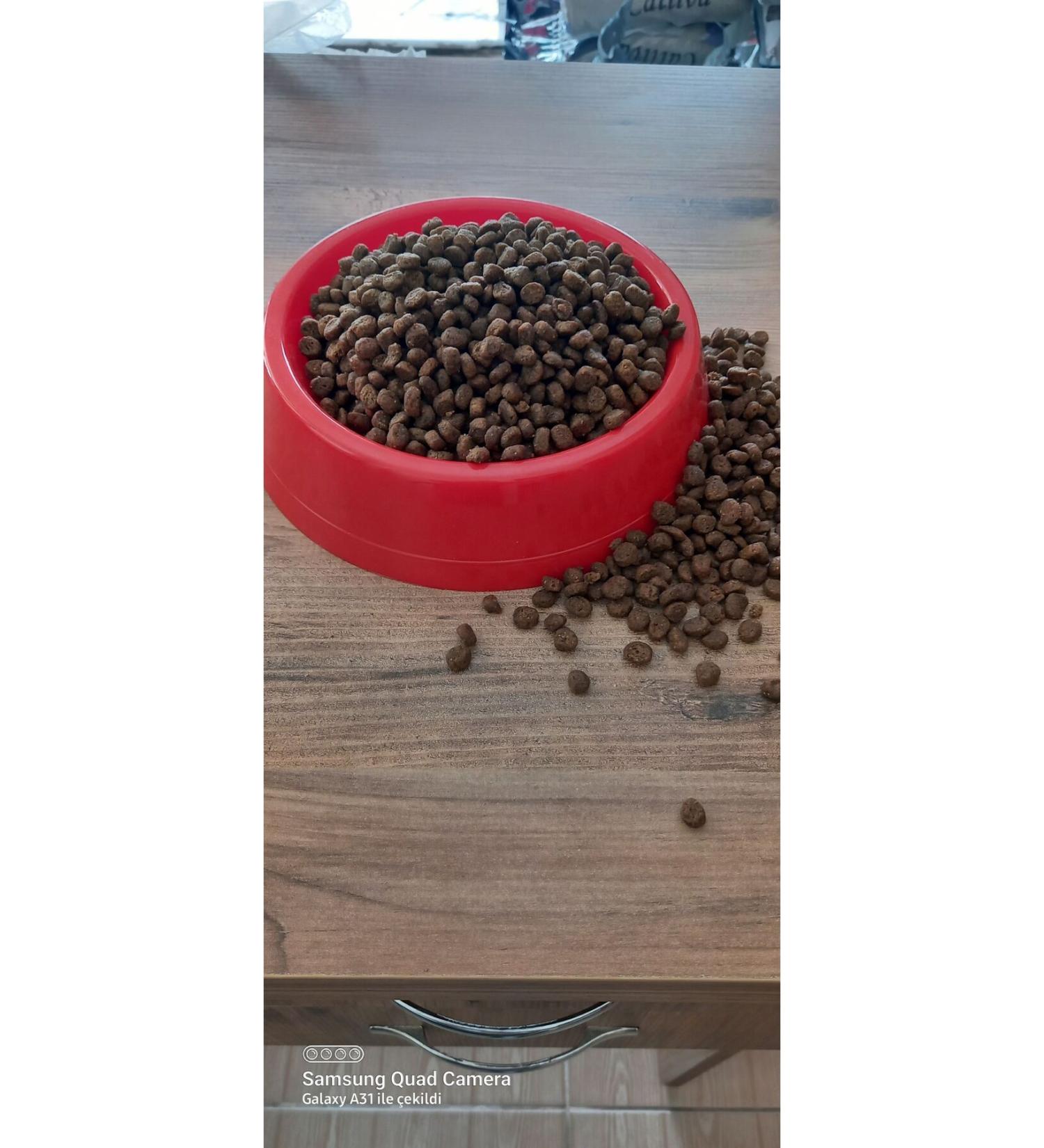 Pro Plan Proplan puppy lamb medium breed puppy food 1 kg special package