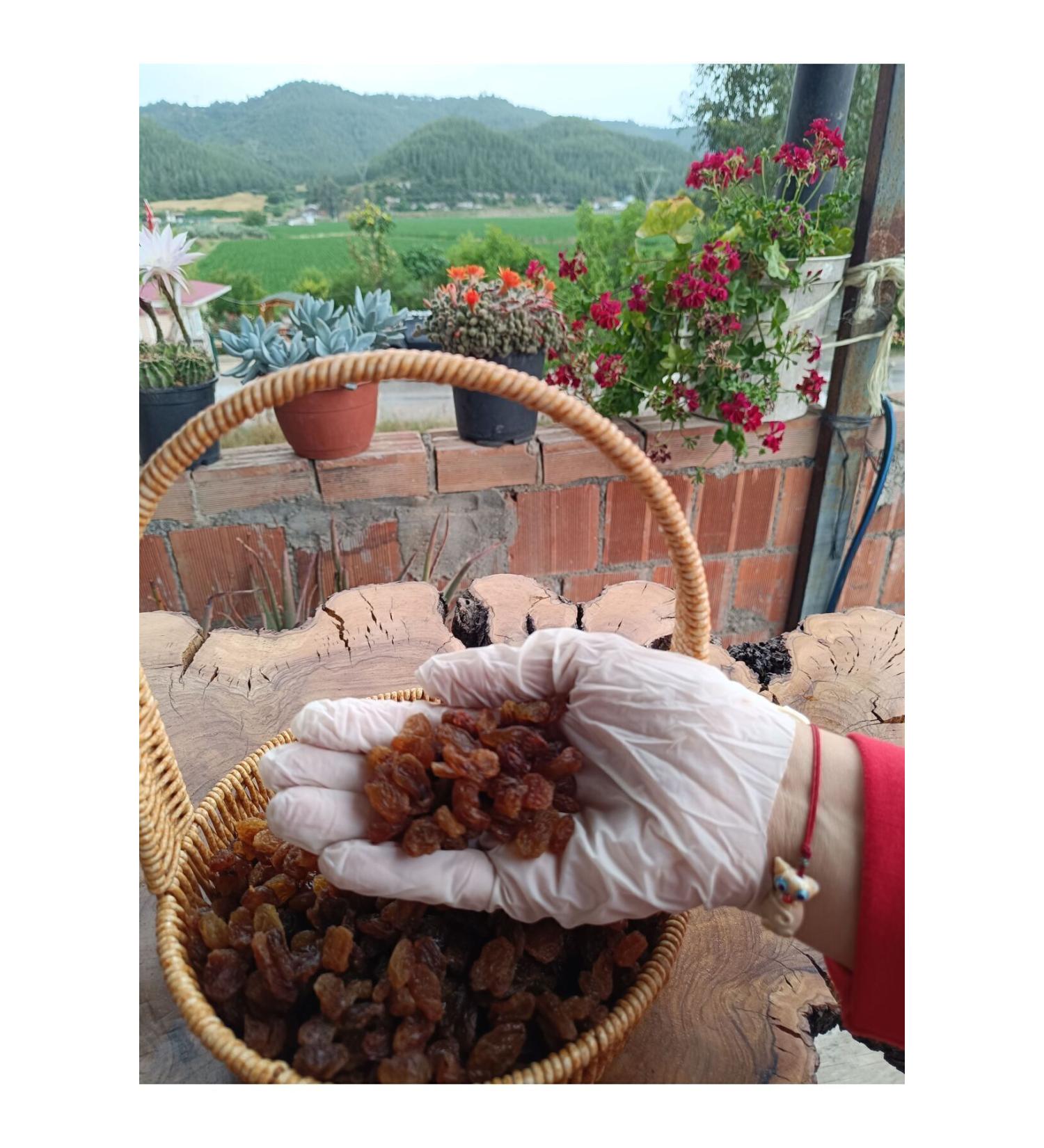 Seedless yellow grapes from the lady's hand 1 kg