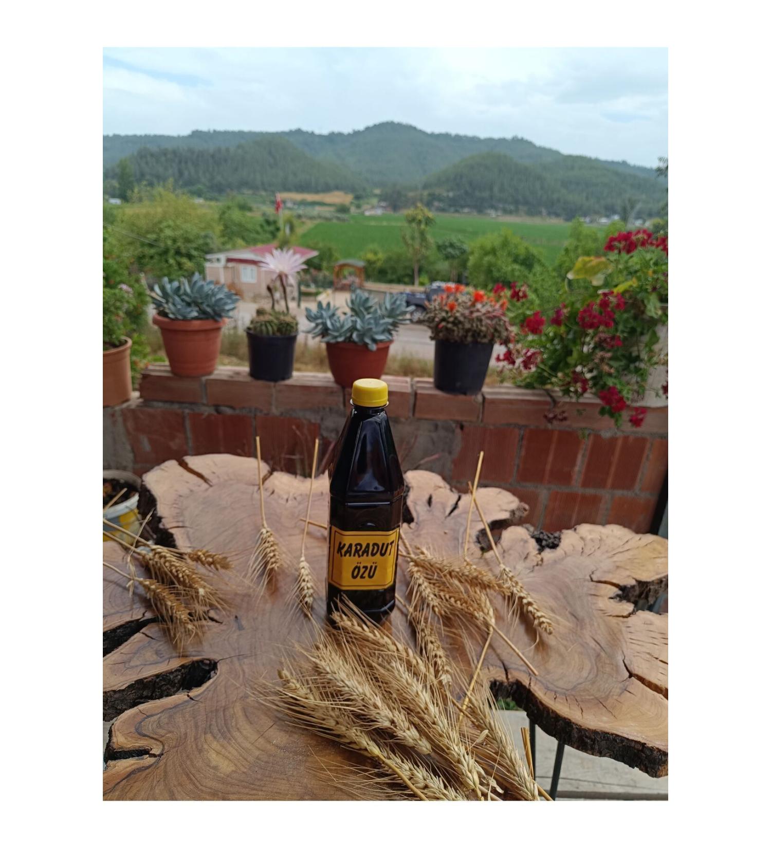 Black Mulberry Extract from the Lady's Hand 1000gr - Buy Online on GoSupps.com