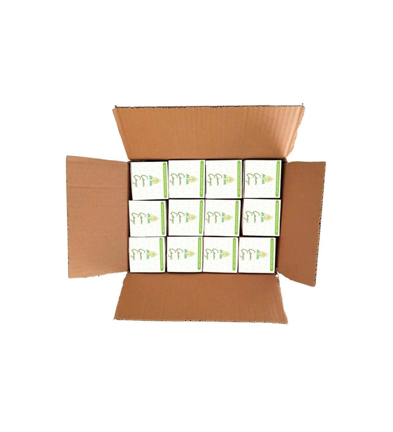 DR EVA Natural Pine Leaf Tea - Box of 12